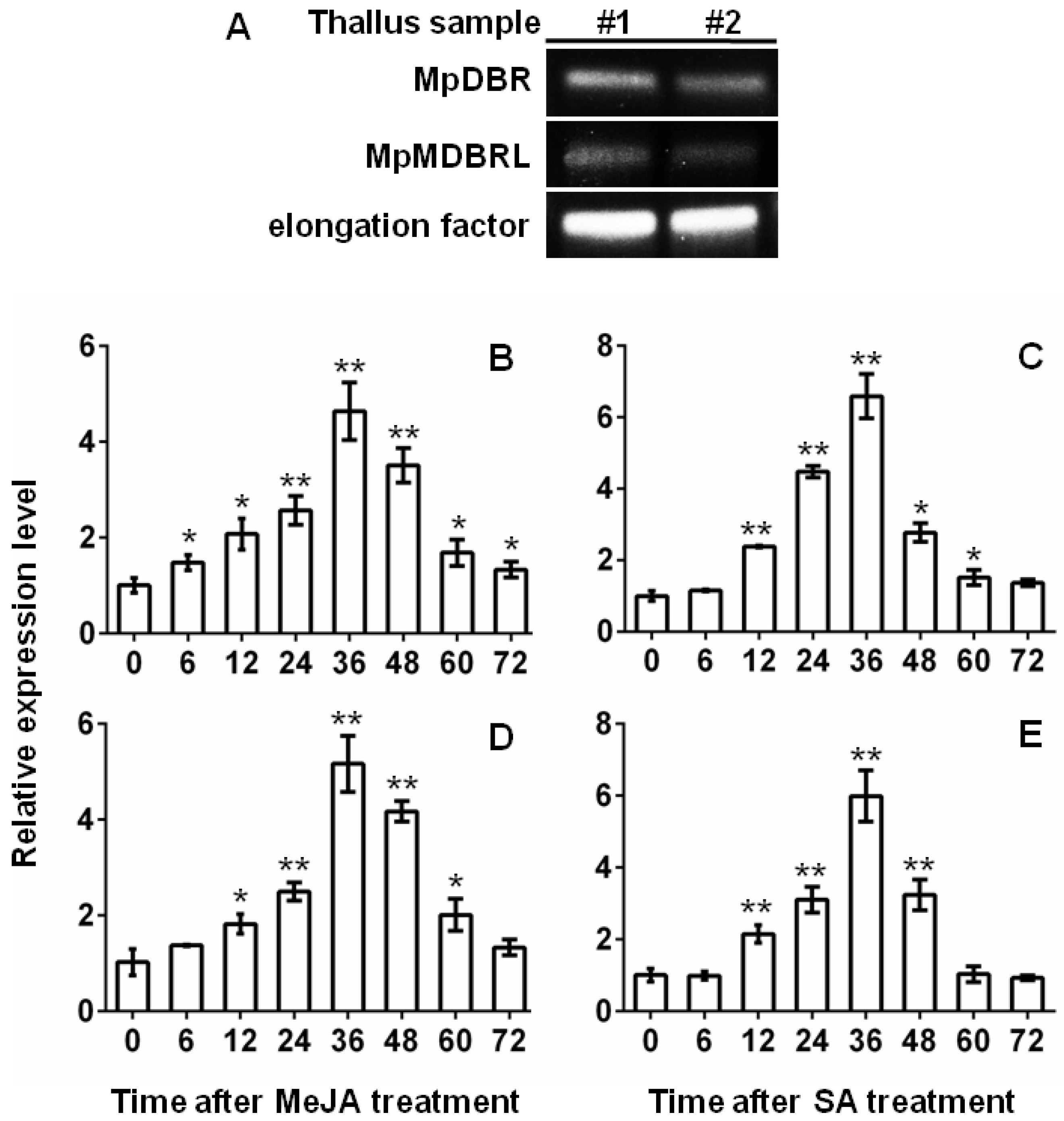 Molecules 23 01630 g006