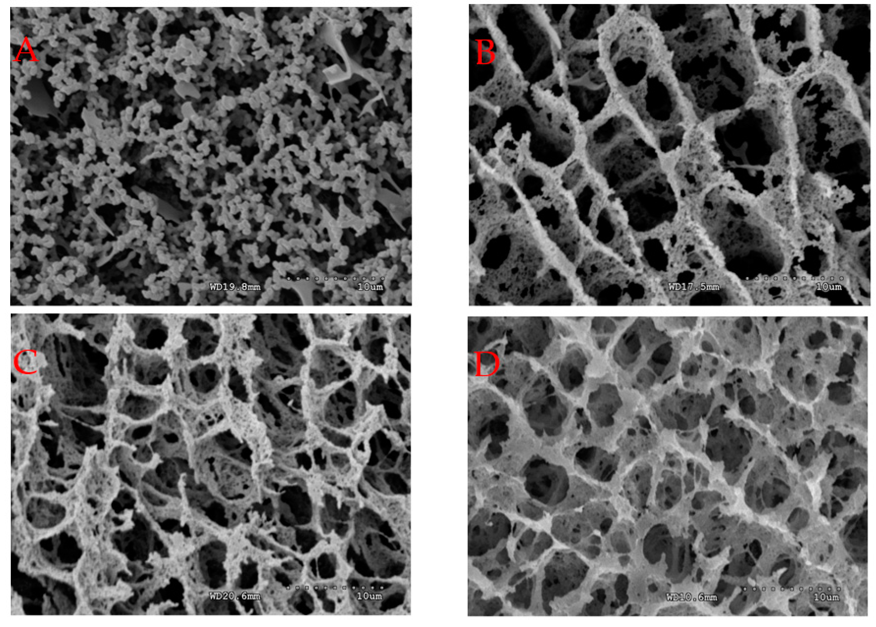 Molecules 23 01632 g002a