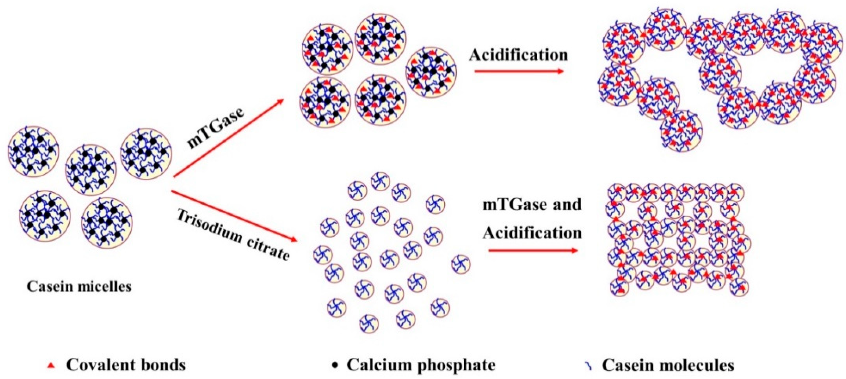 Molecules 23 01632 g003