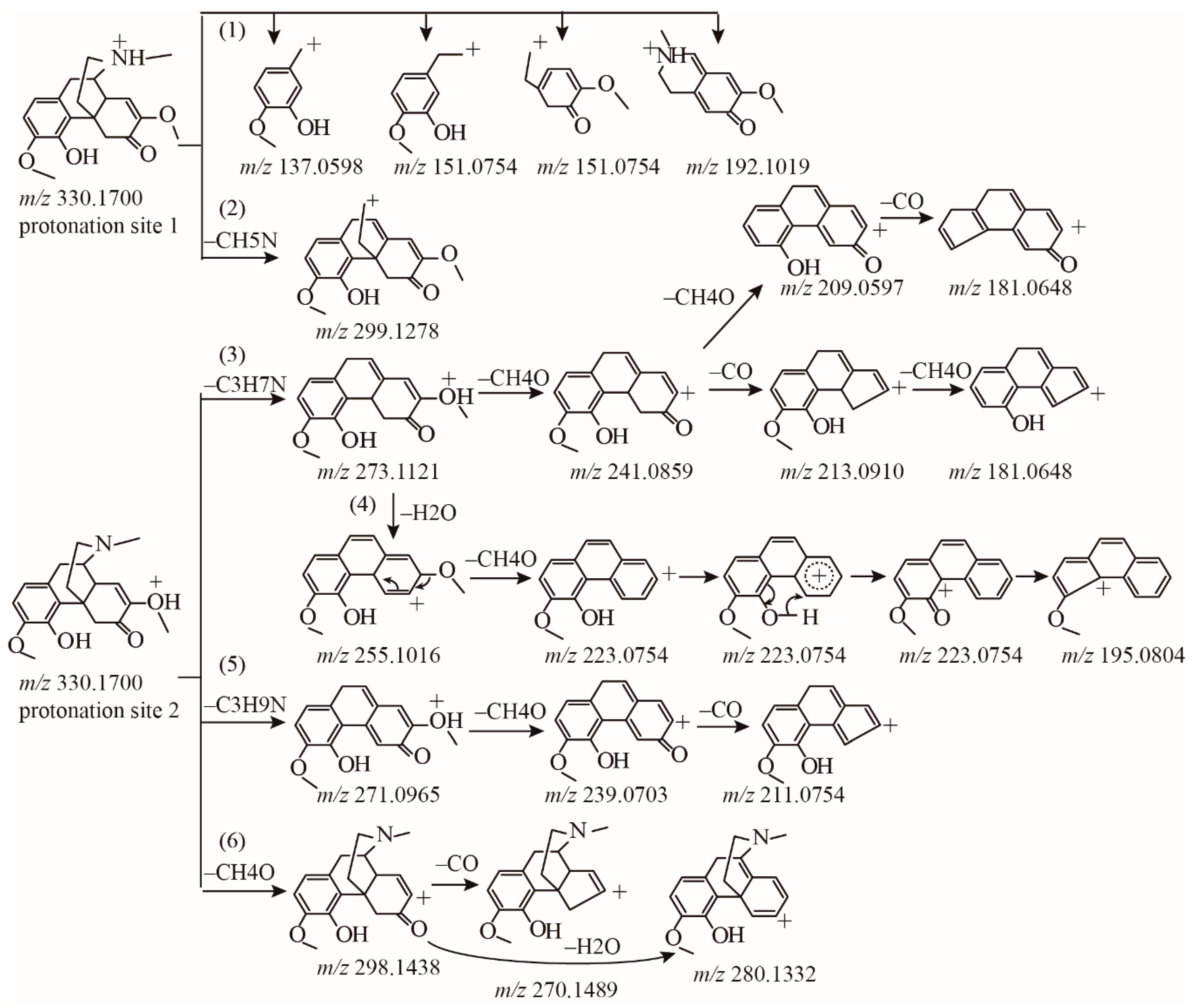 Molecules 23 01634 g003