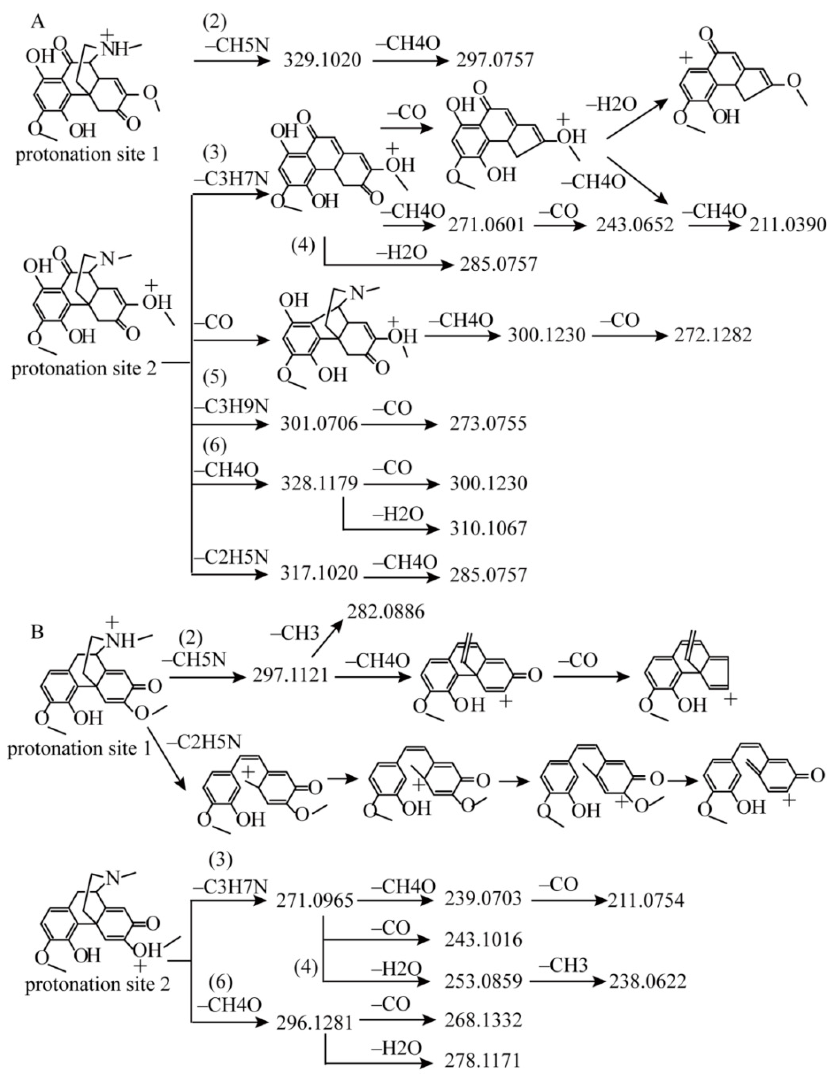 Molecules 23 01634 g004