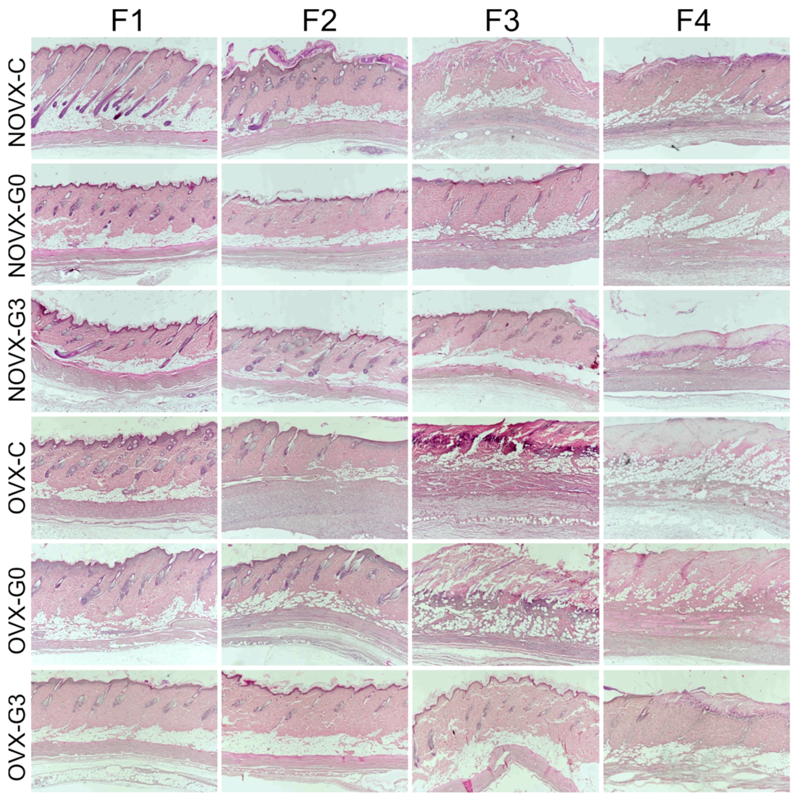 Molecules 23 01637 g002 Molecules 23 01637 g002