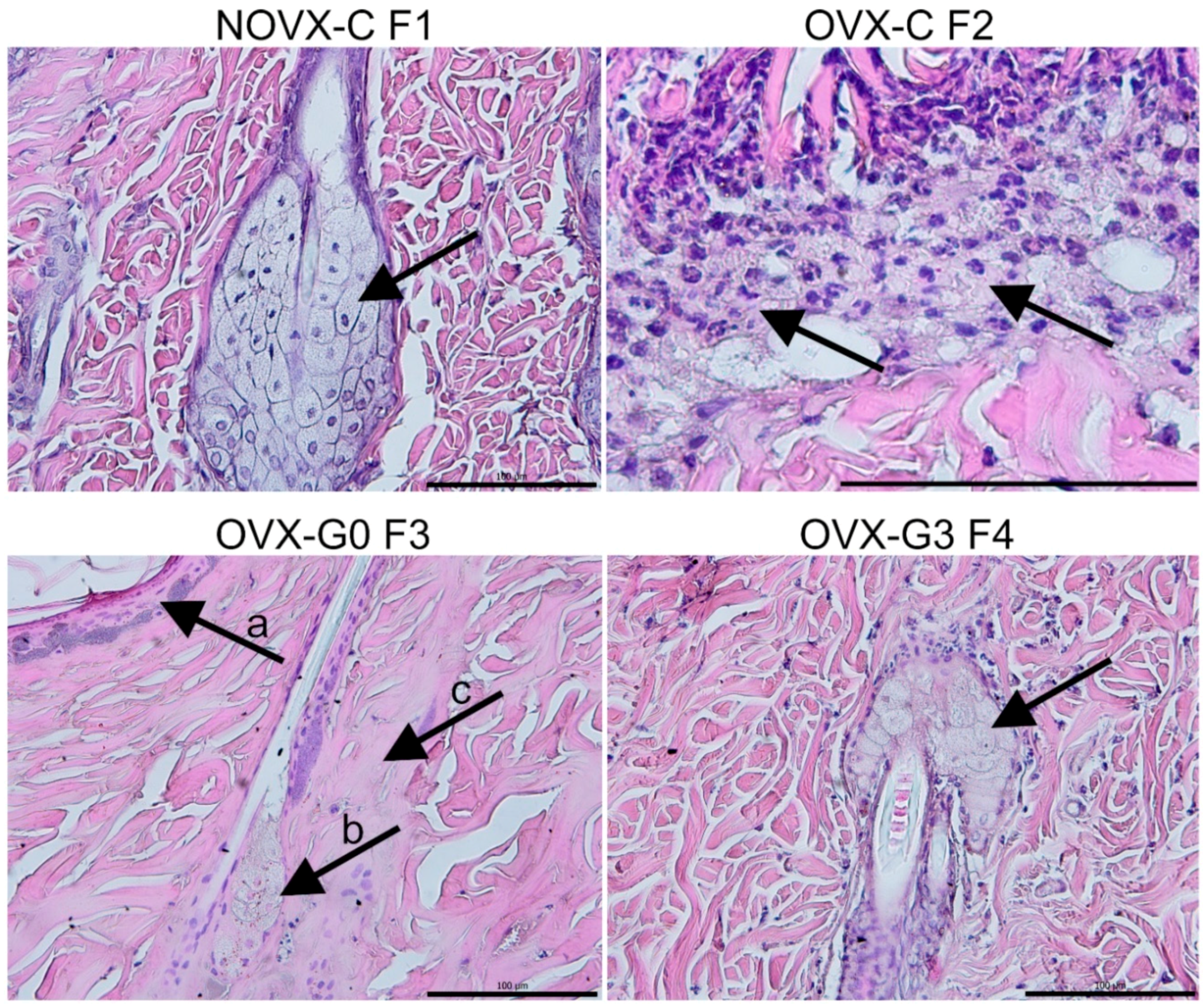 Molecules 23 01637 g003 Molecules 23 01637 g003