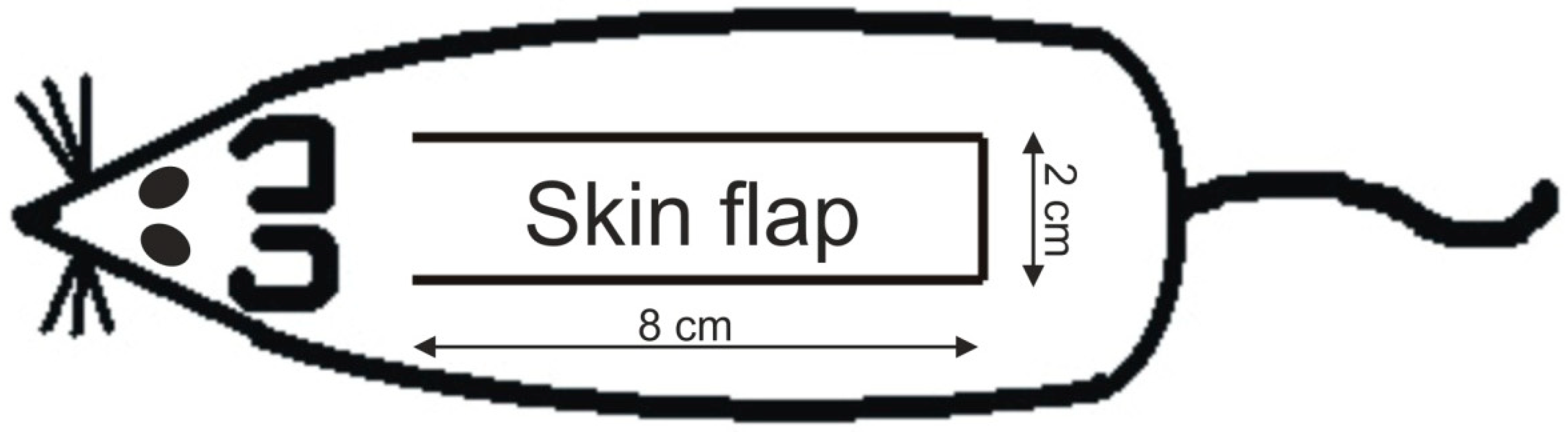 Molecules 23 01637 g008 Molecules 23 01637 g008
