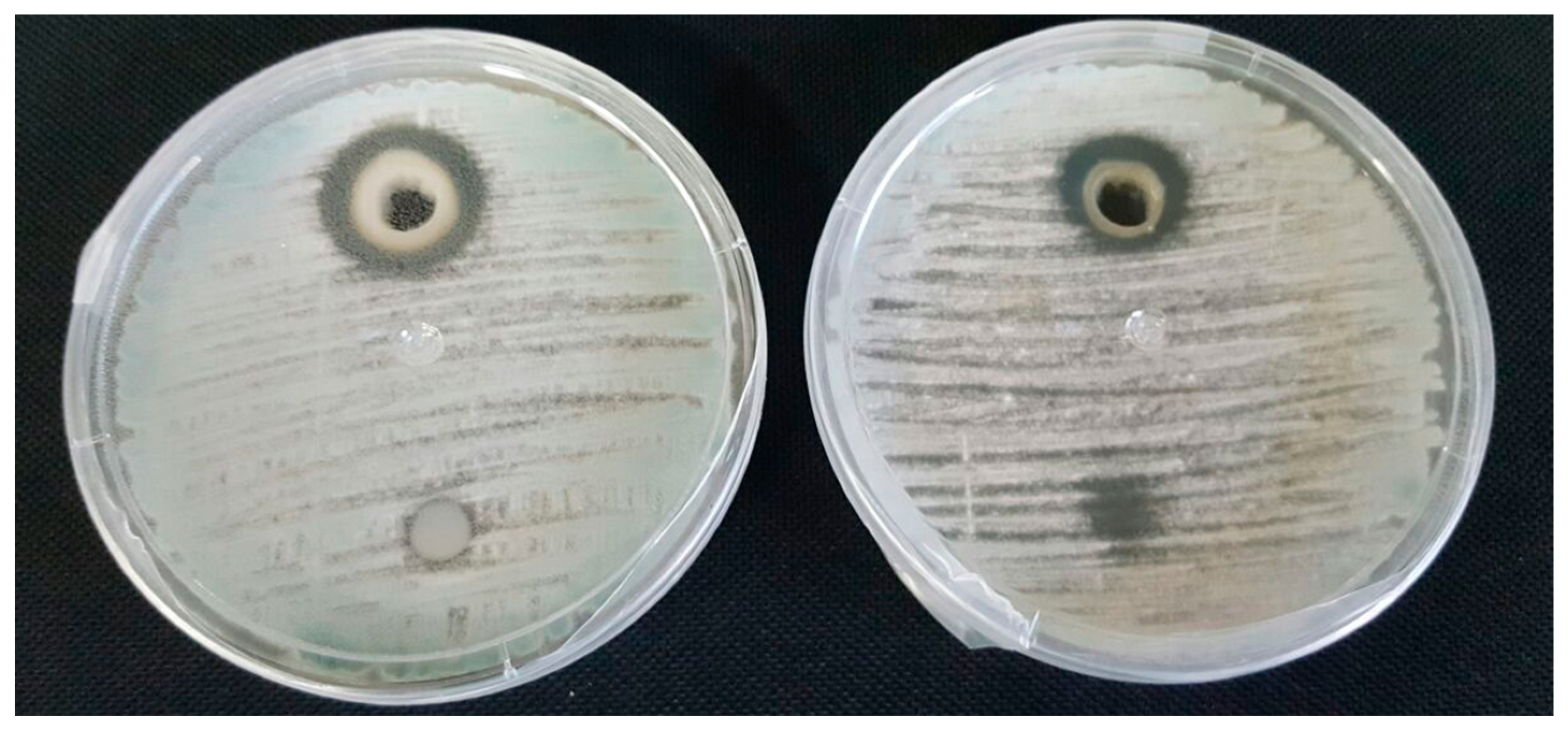 Molecules 23 01638 g002