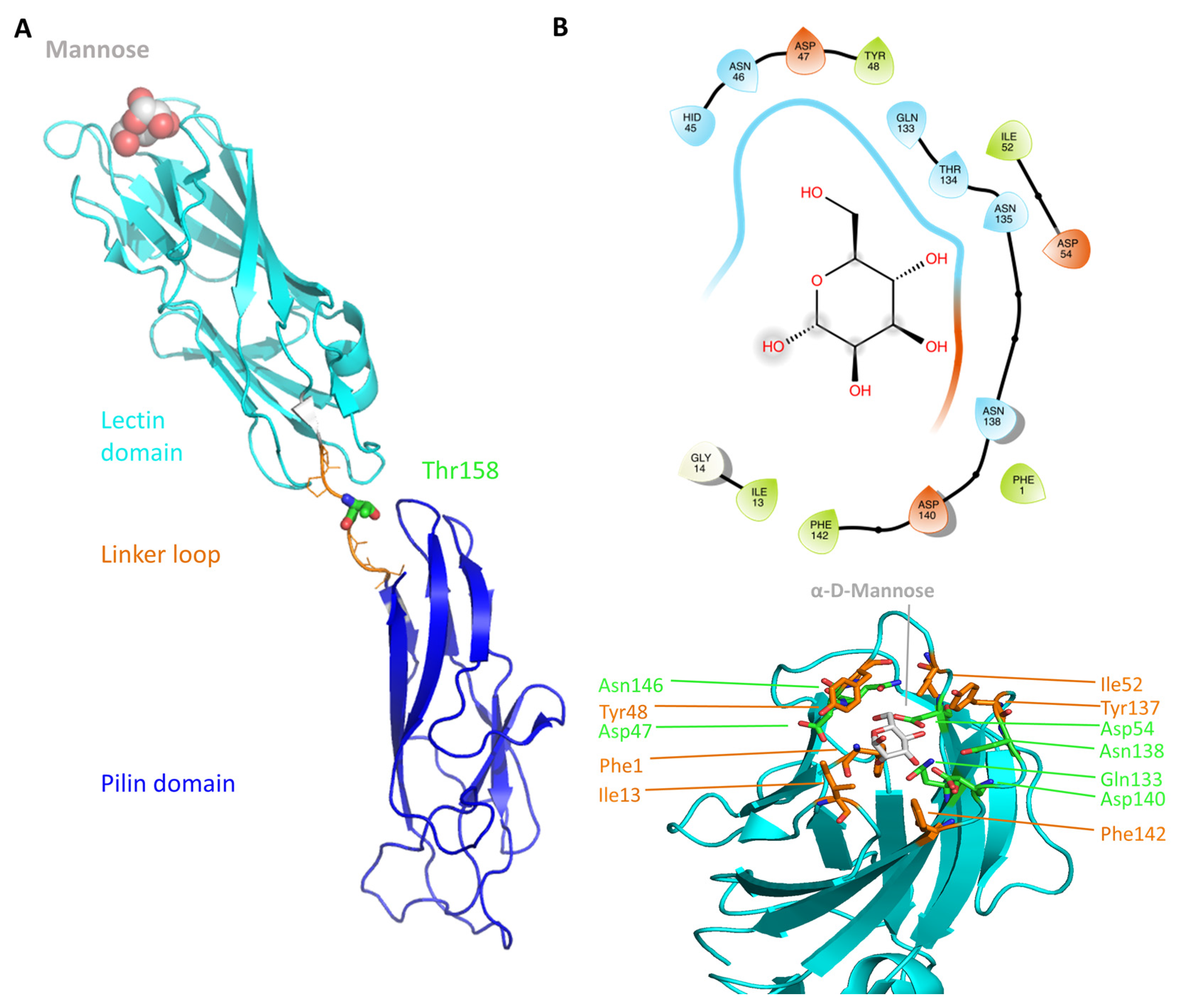 Molecules 23 01641 g001