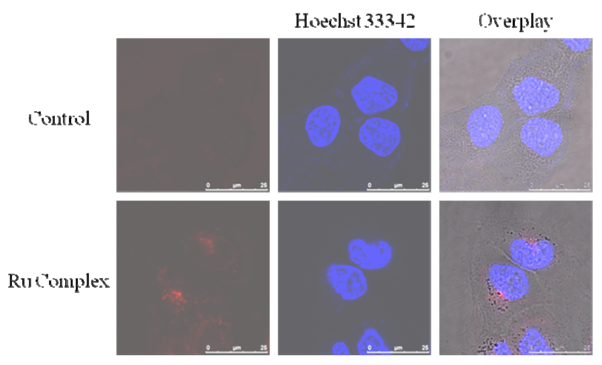 Molecules 23 01649 g003