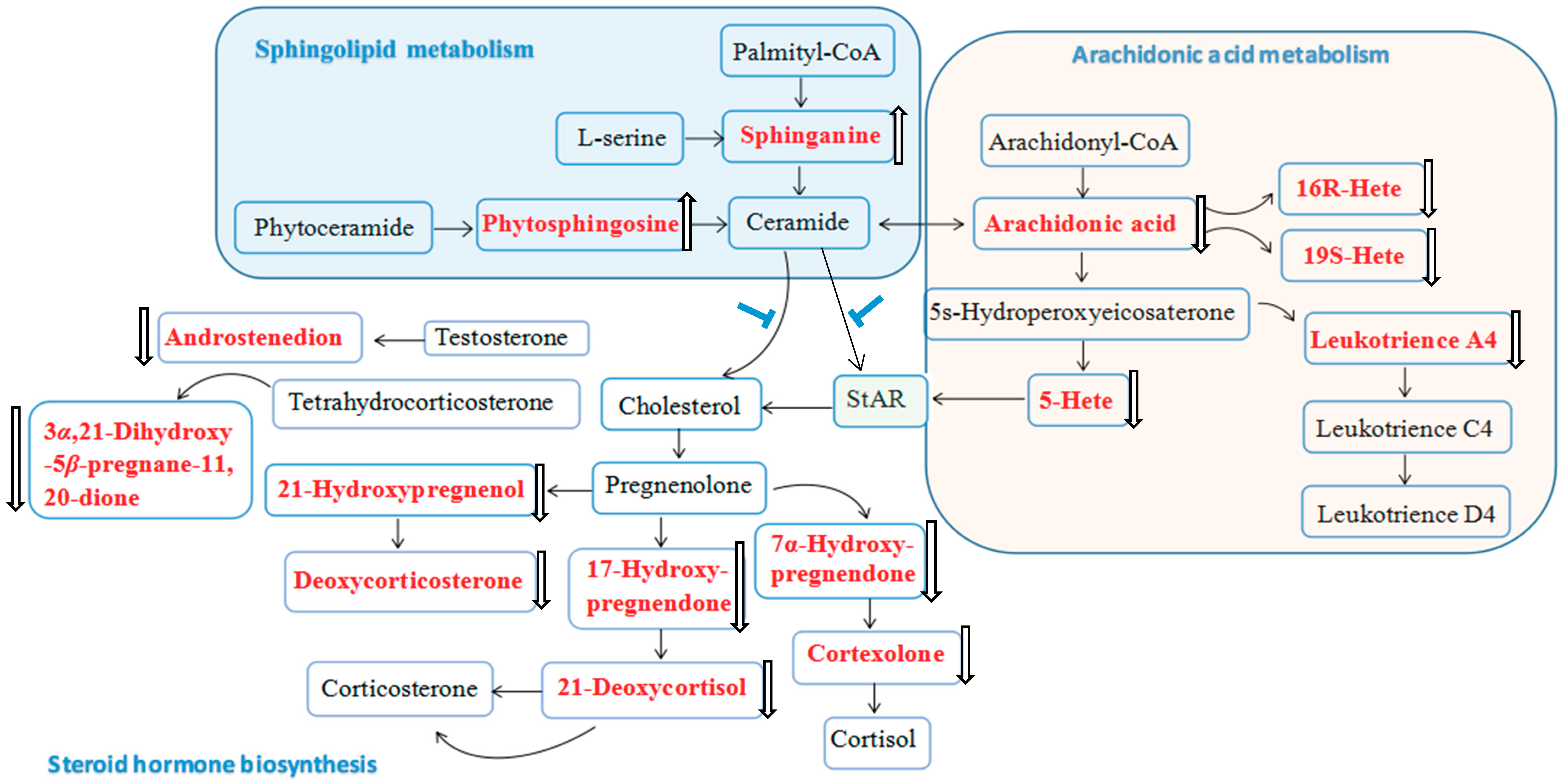 Molecules 23 01650 g008