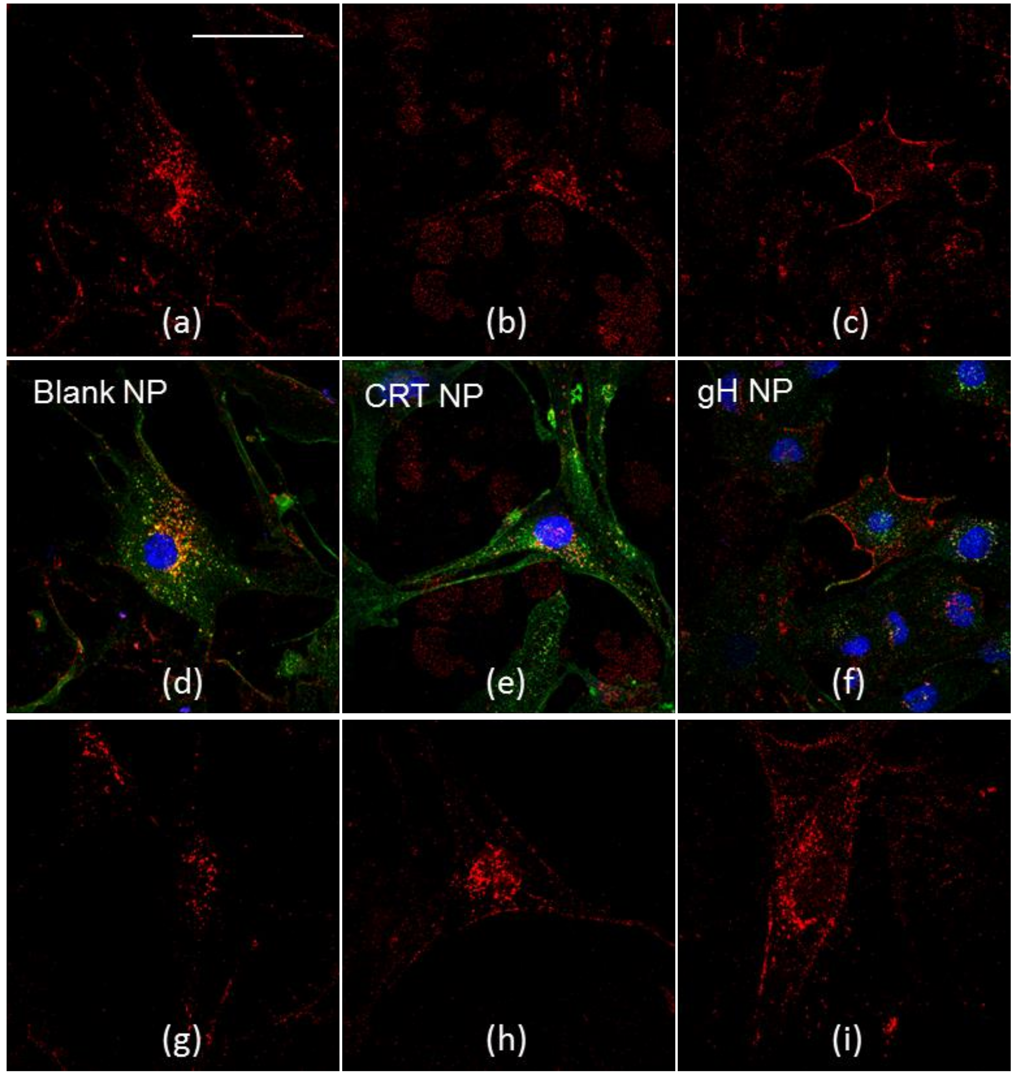 Molecules 23 01655 g002a