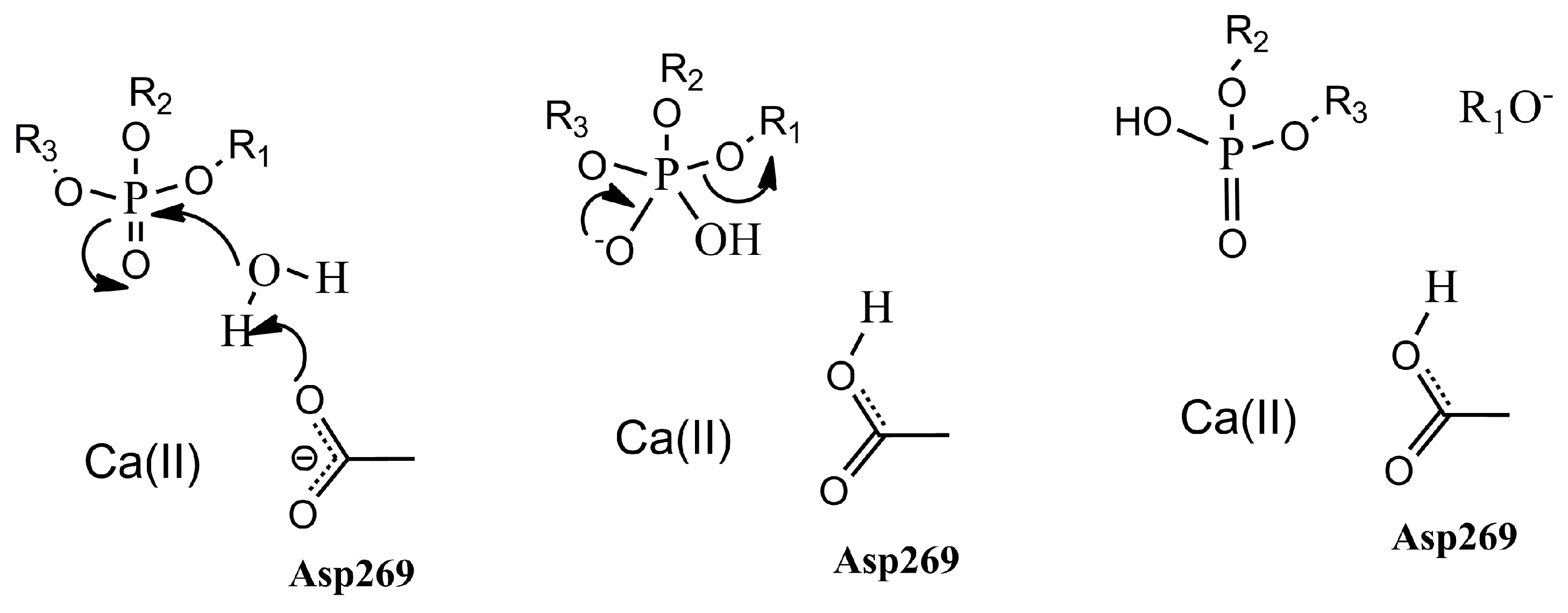 Molecules 23 01660 g001 Molecules 23 01660 g001