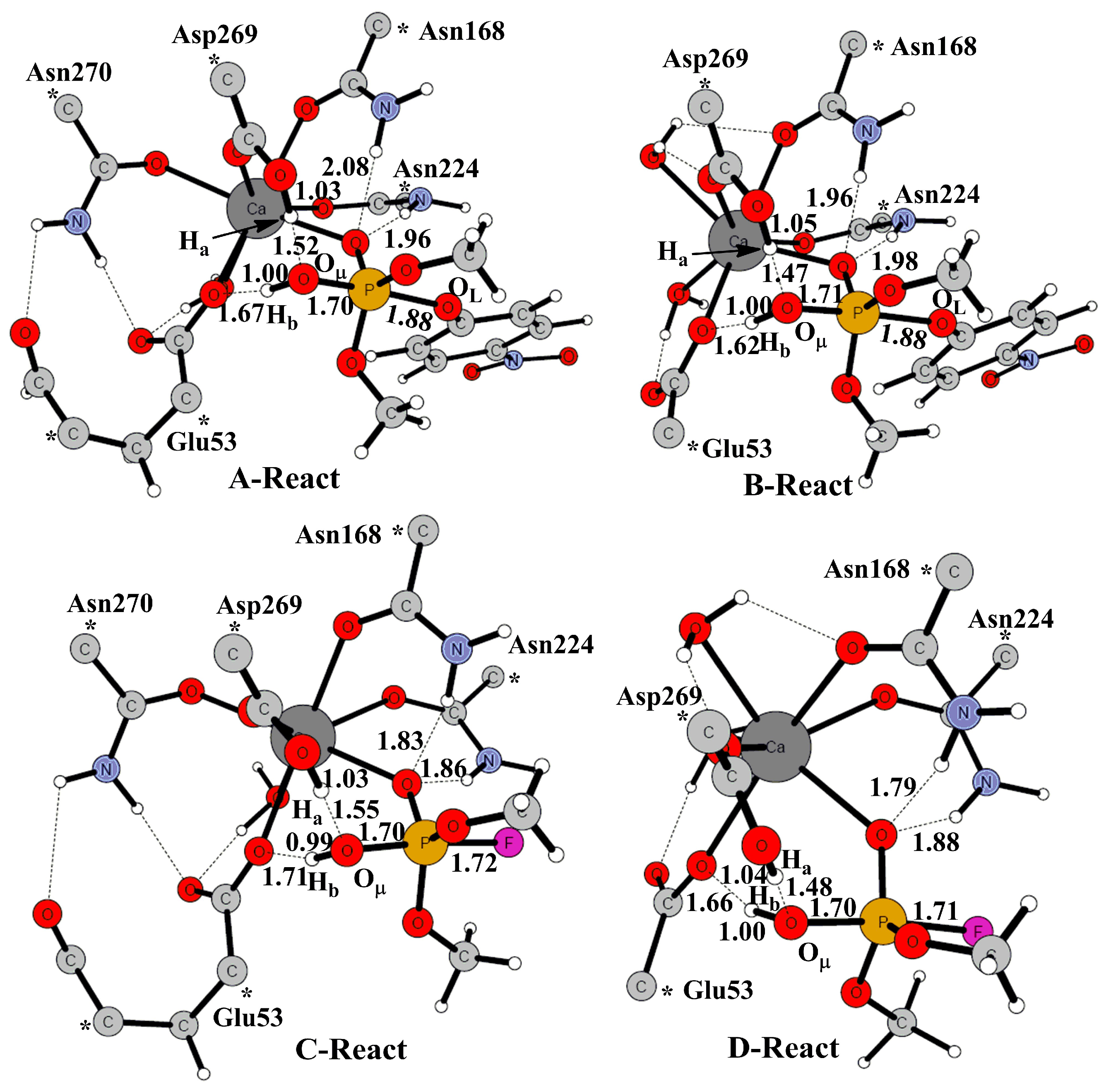 Molecules 23 01660 g003 Molecules 23 01660 g003