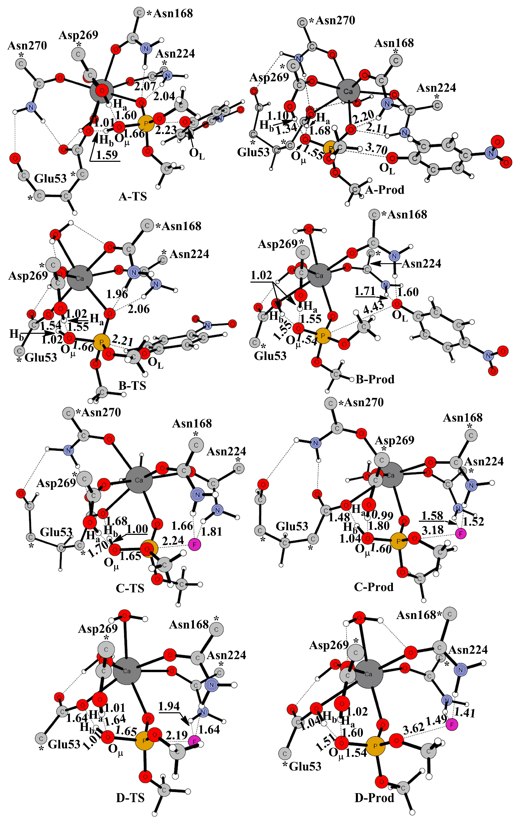 Molecules 23 01660 g004 Molecules 23 01660 g004