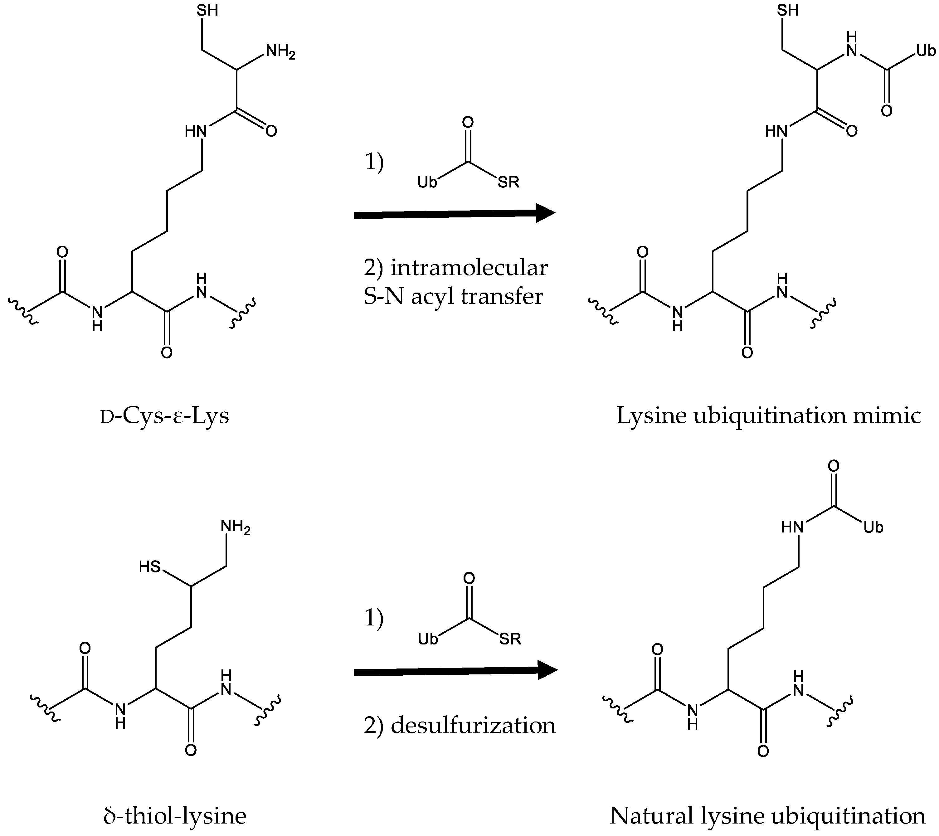 Molecules 23 01662 g003