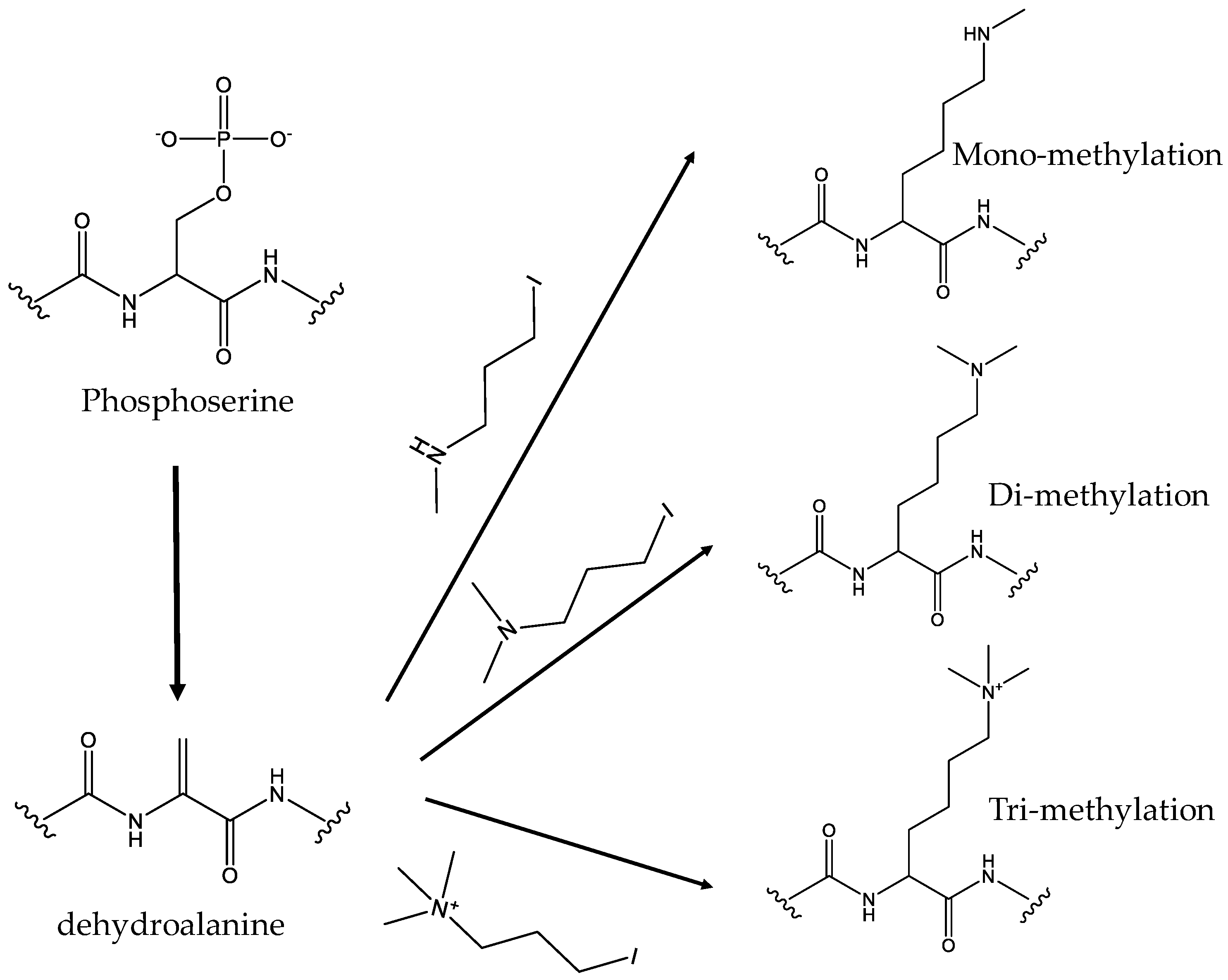 Molecules 23 01662 g004