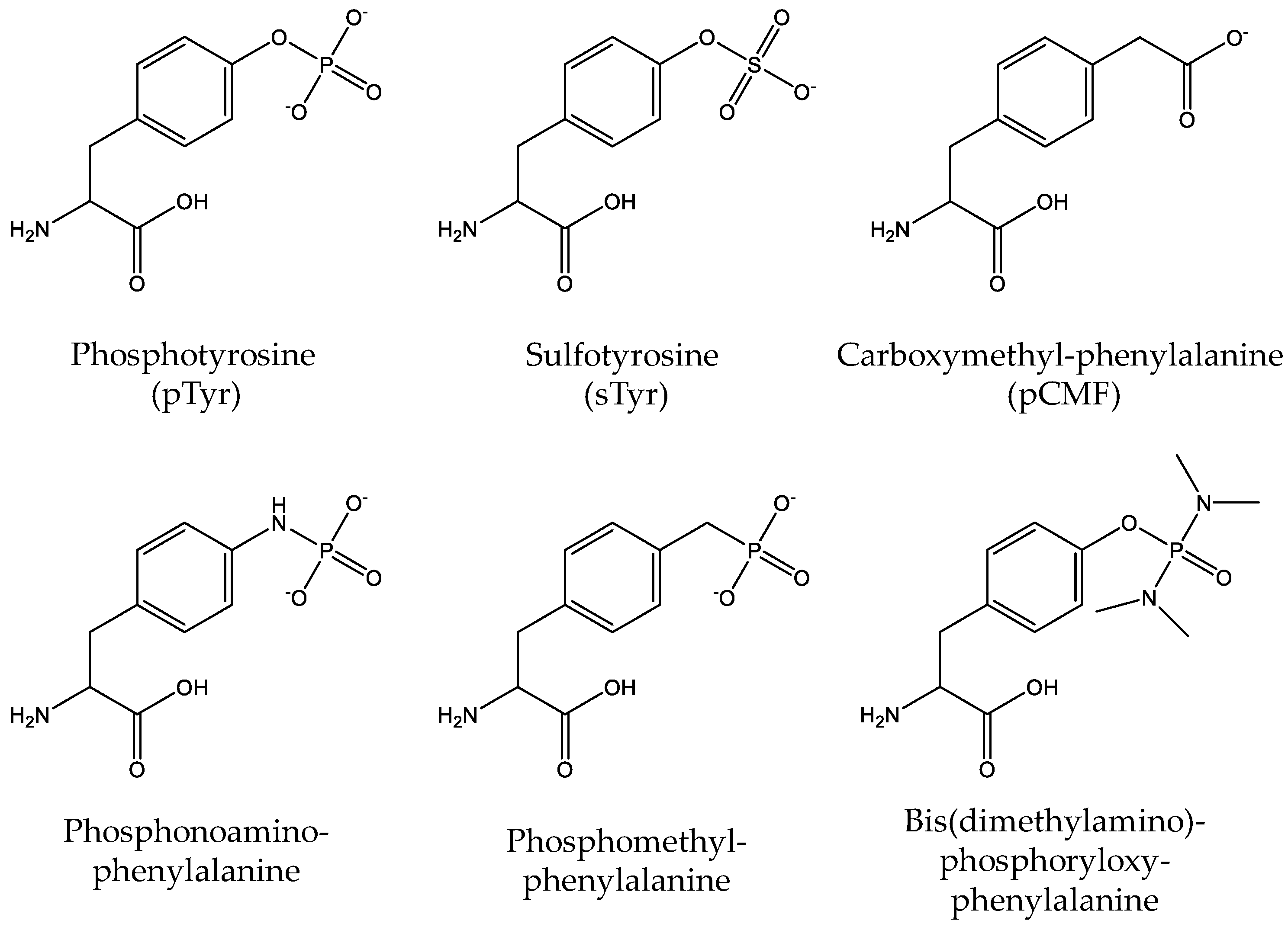 Molecules 23 01662 g007