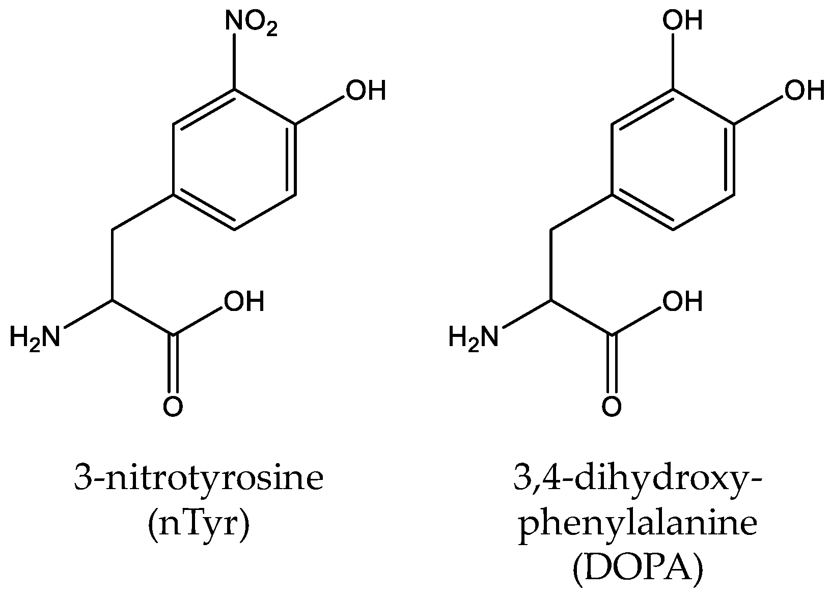 Molecules 23 01662 g008