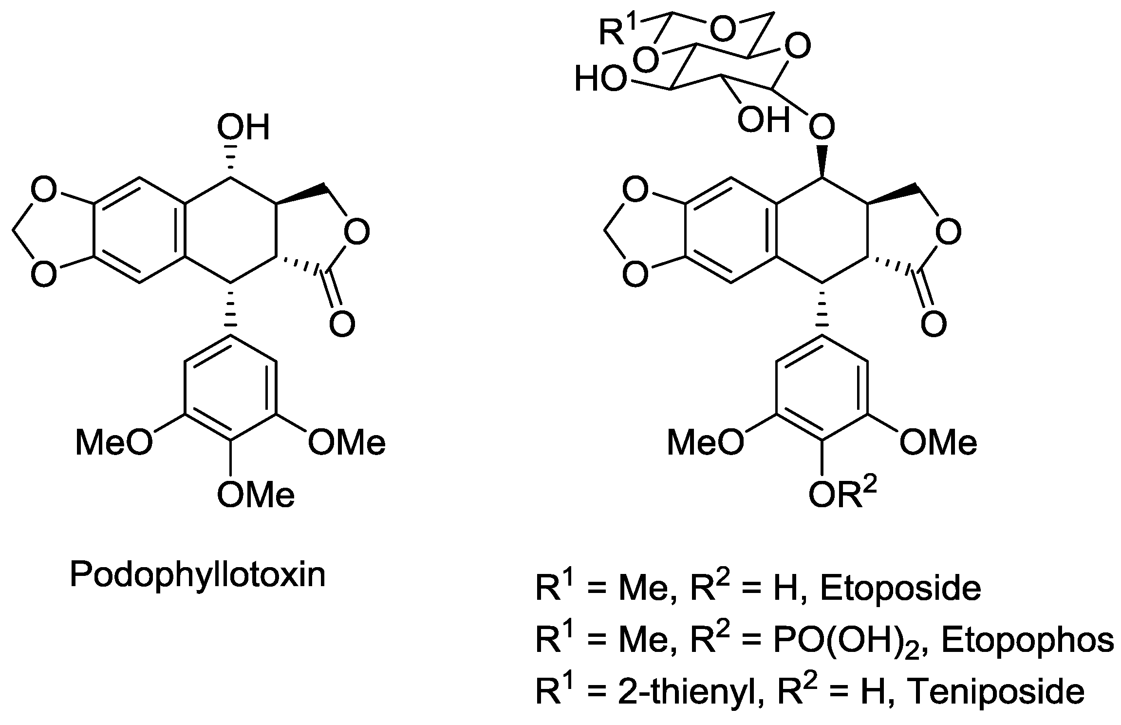 Molecules 23 01666 g002