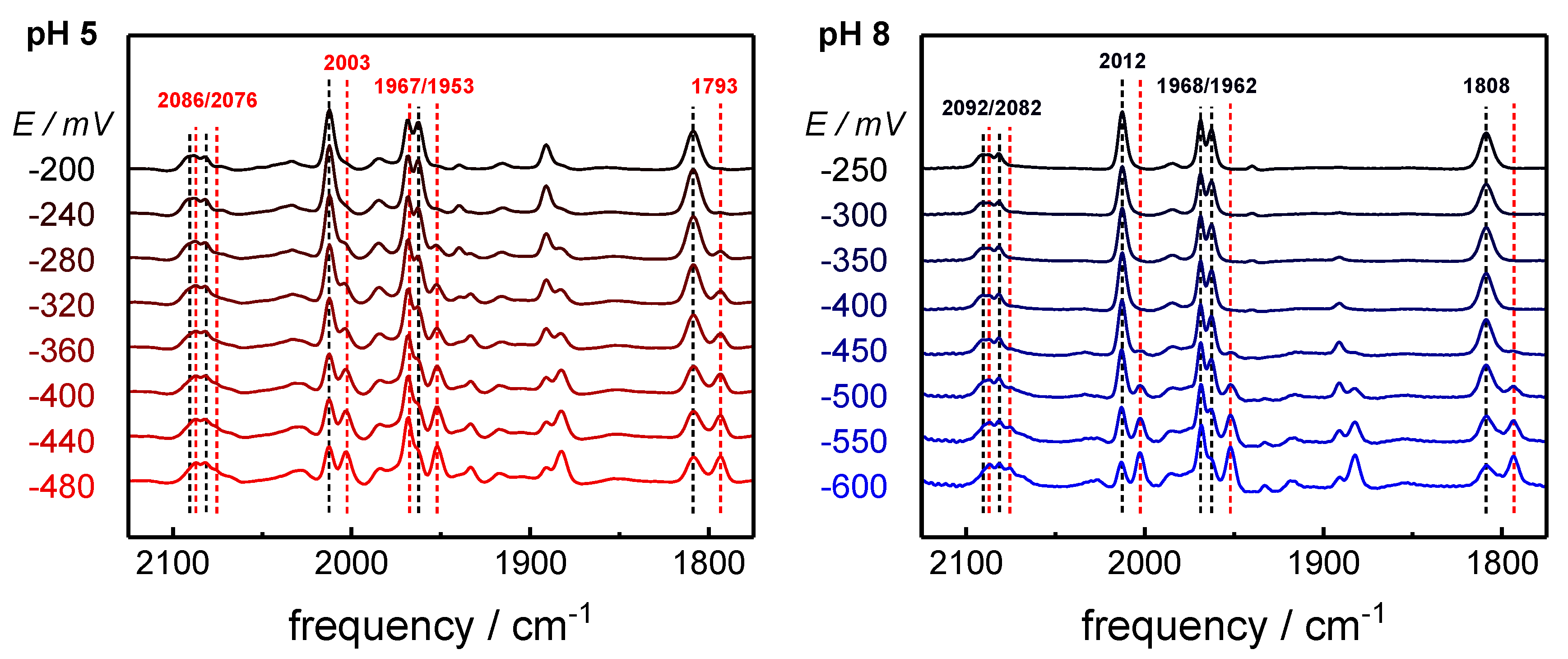 Molecules 23 01669 g002