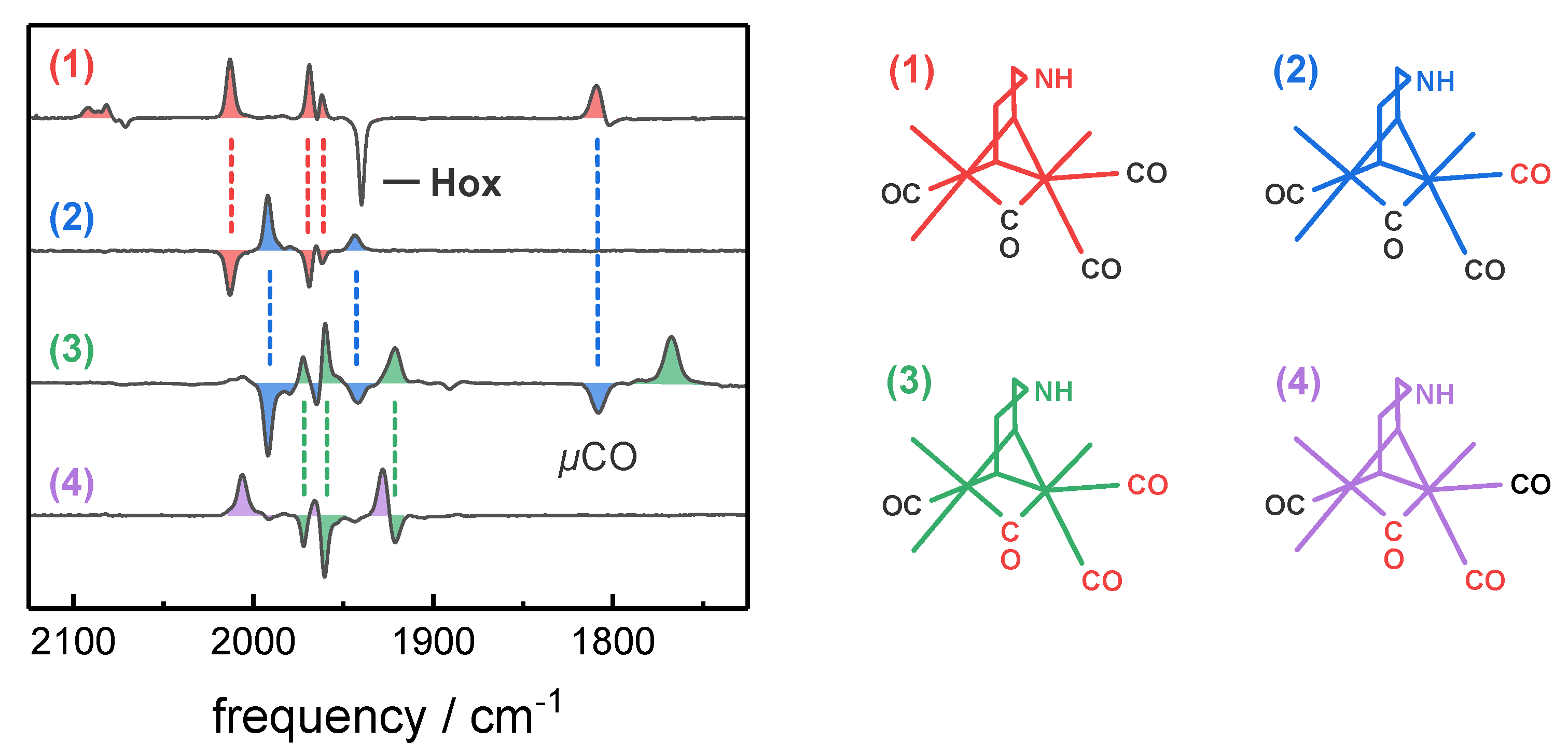 Molecules 23 01669 g004