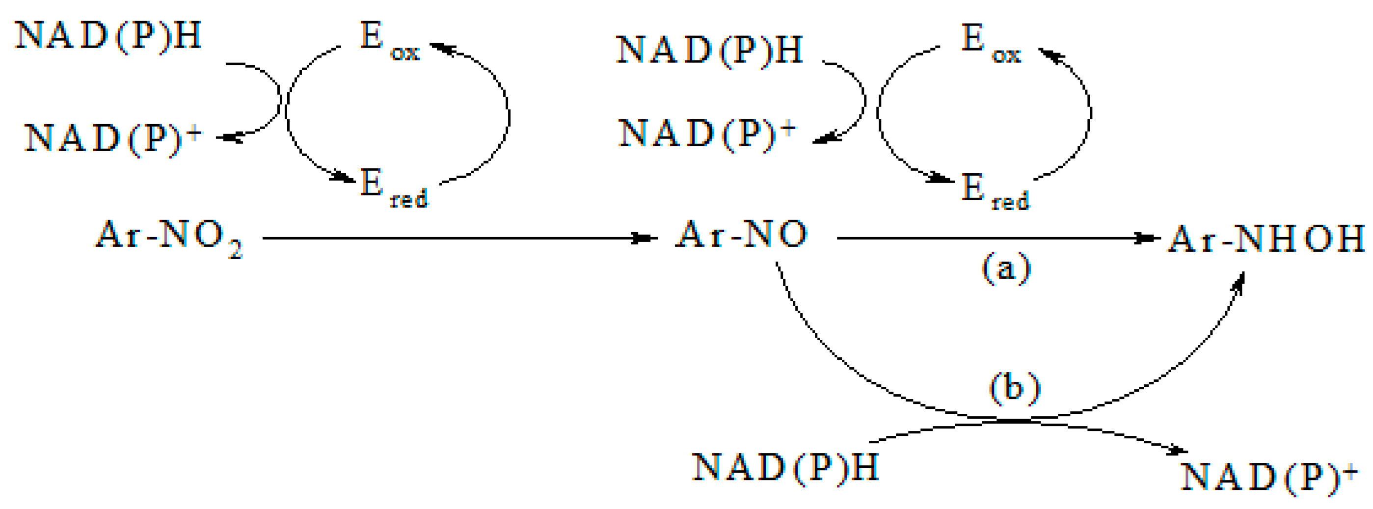 Molecules 23 01672 sch001 Molecules 23 01672 sch001