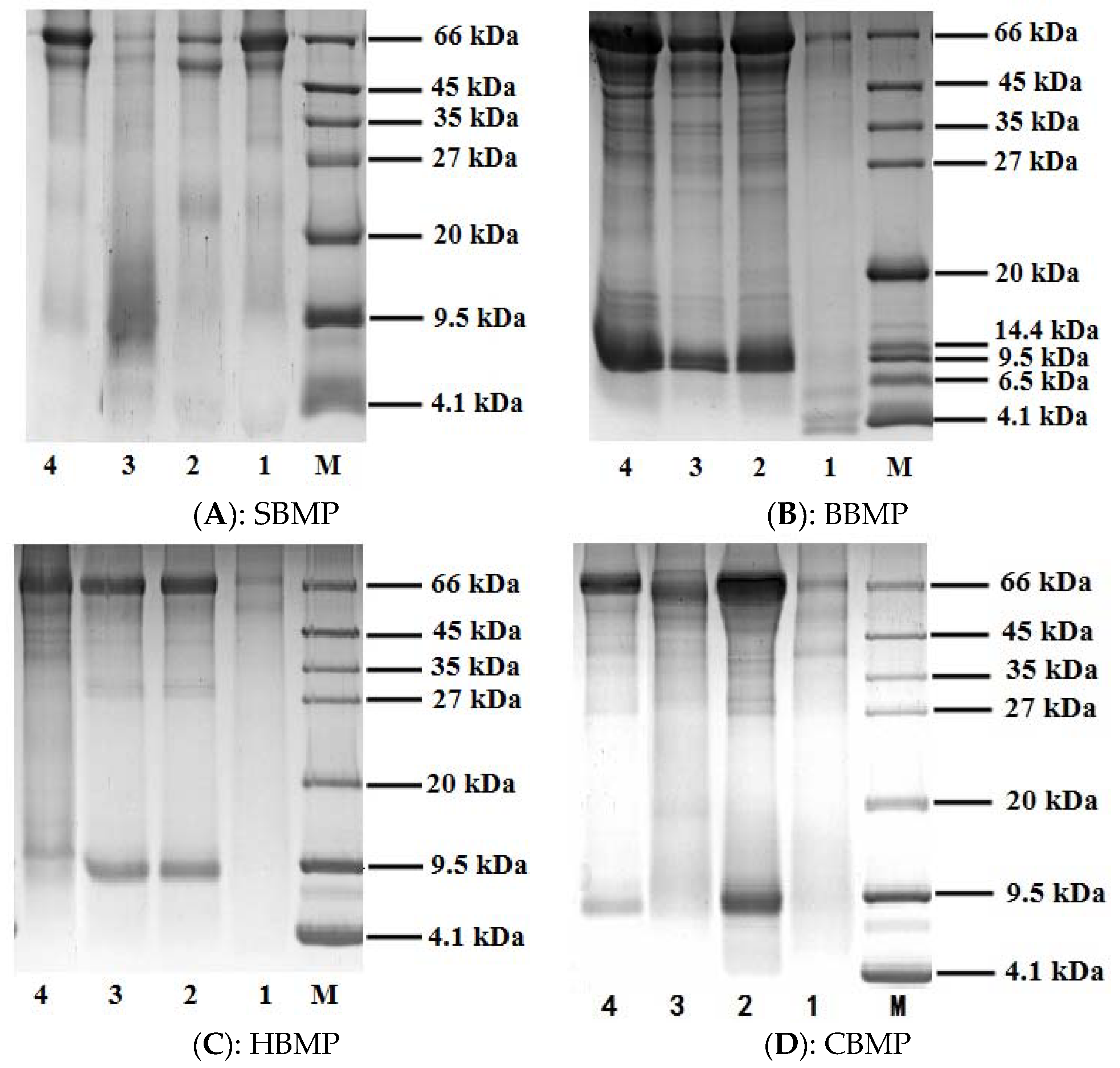 Molecules 23 01673 g001