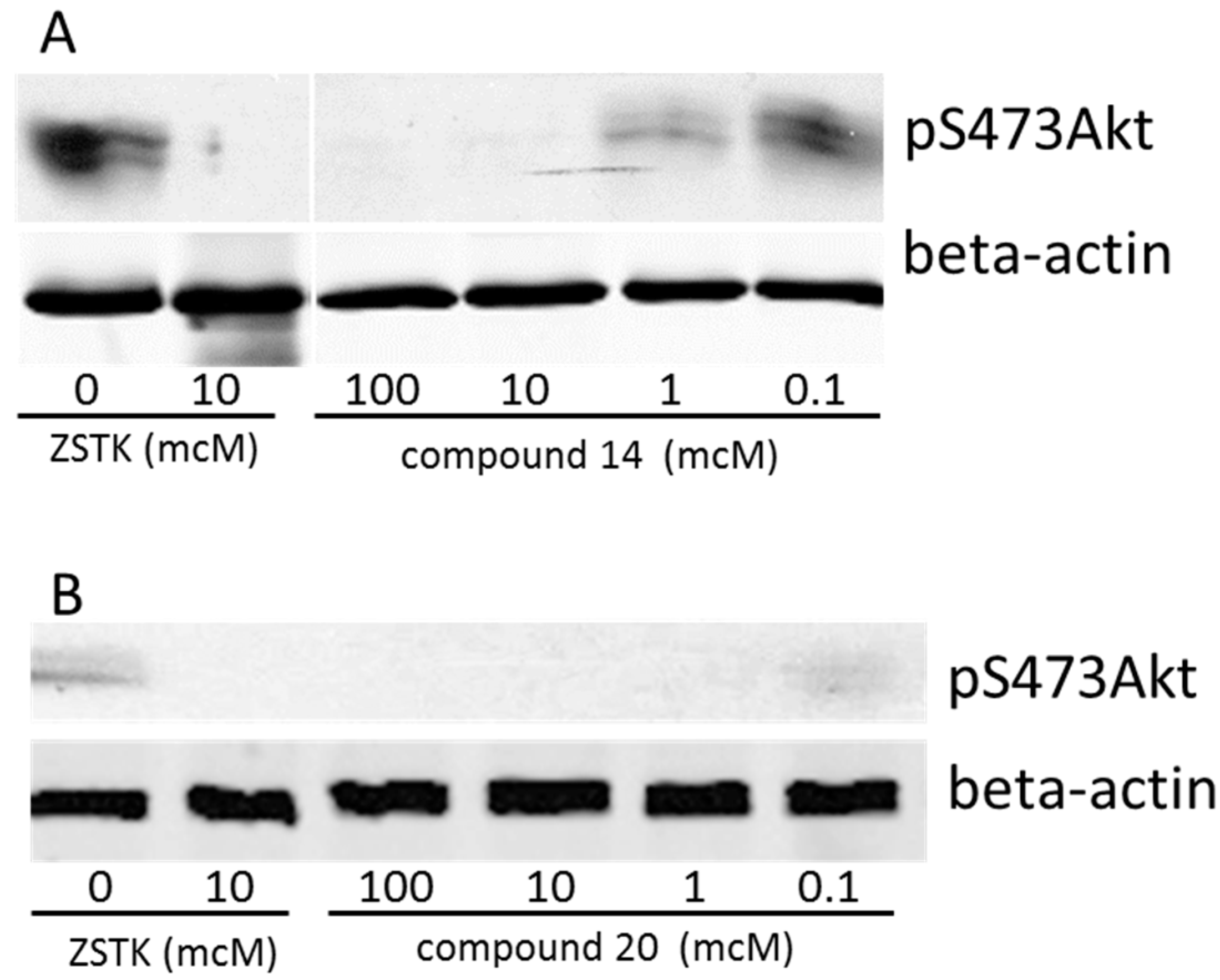 Molecules 23 01675 g001