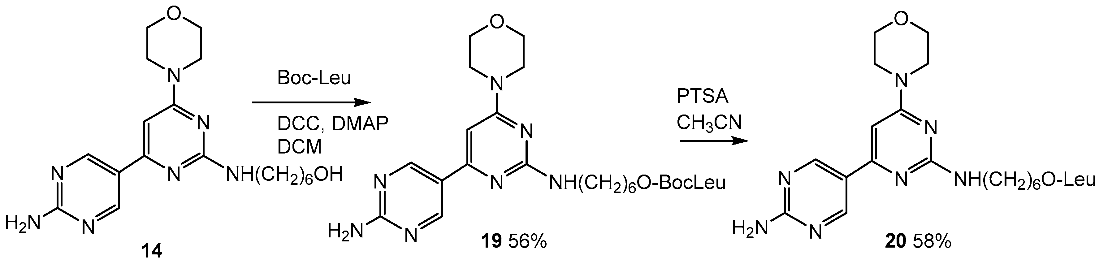 Molecules 23 01675 sch006