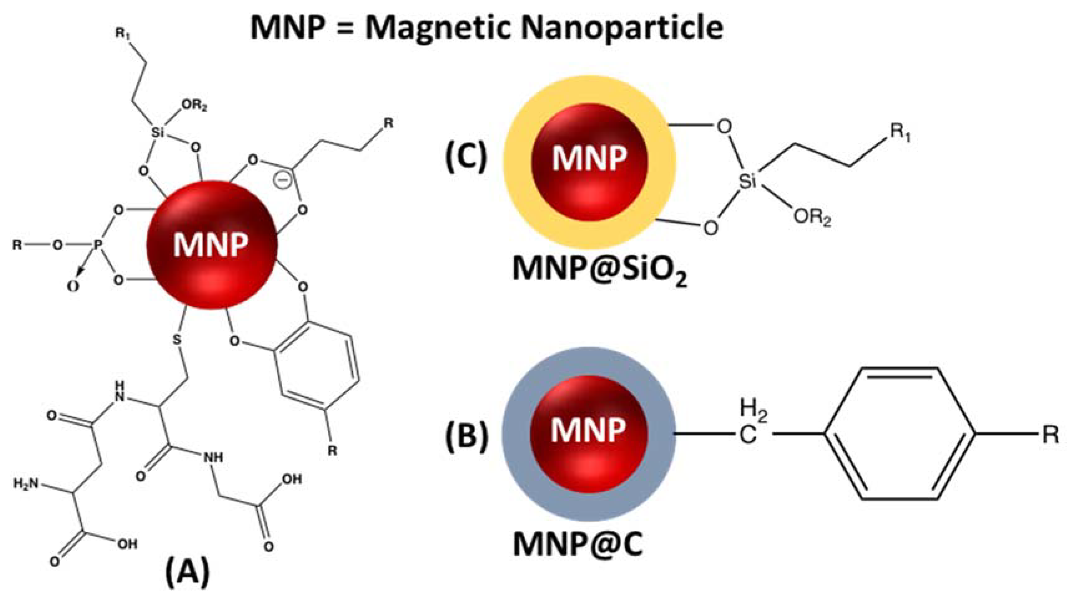 Molecules 23 01676 g011
