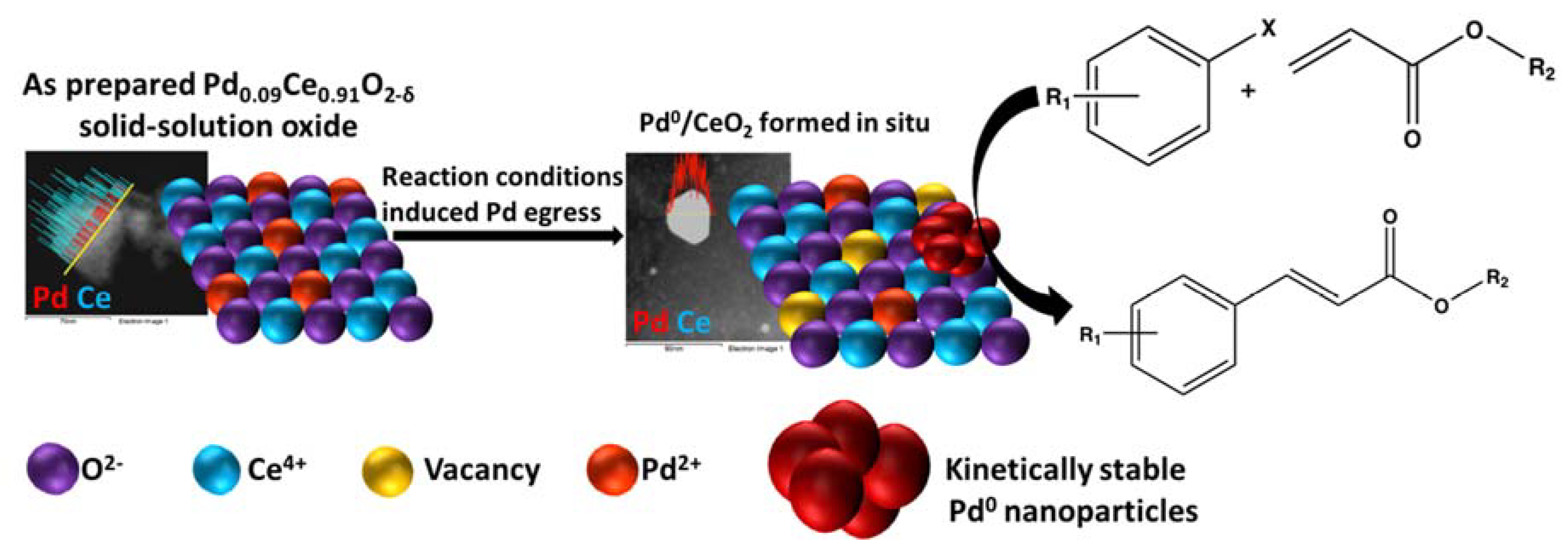 Molecules 23 01676 sch004