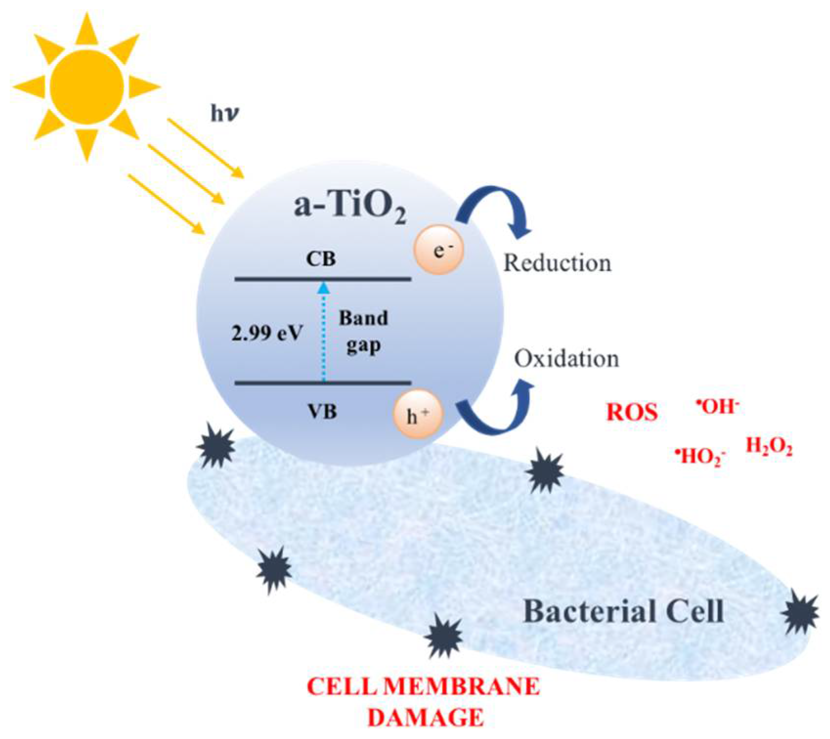 Molecules 23 01677 g004 Molecules 23 01677 g004