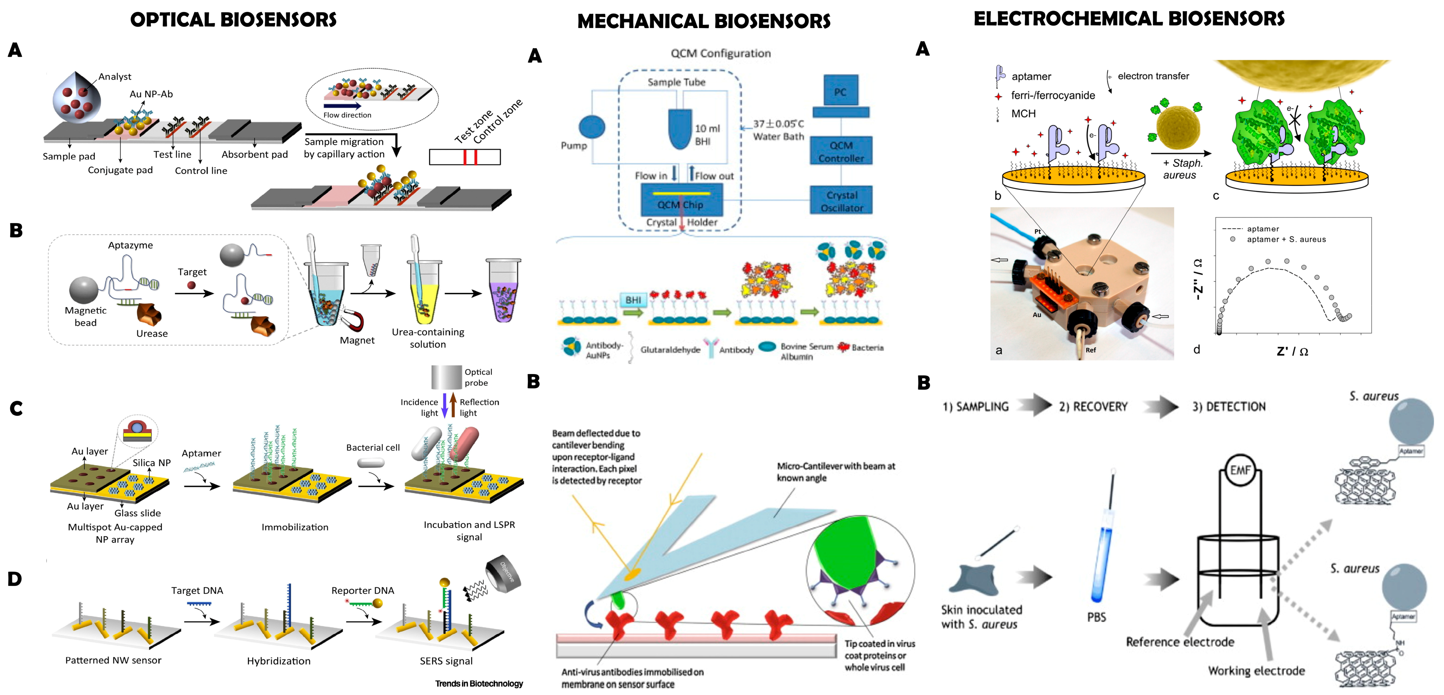 Molecules 23 01683 g003
