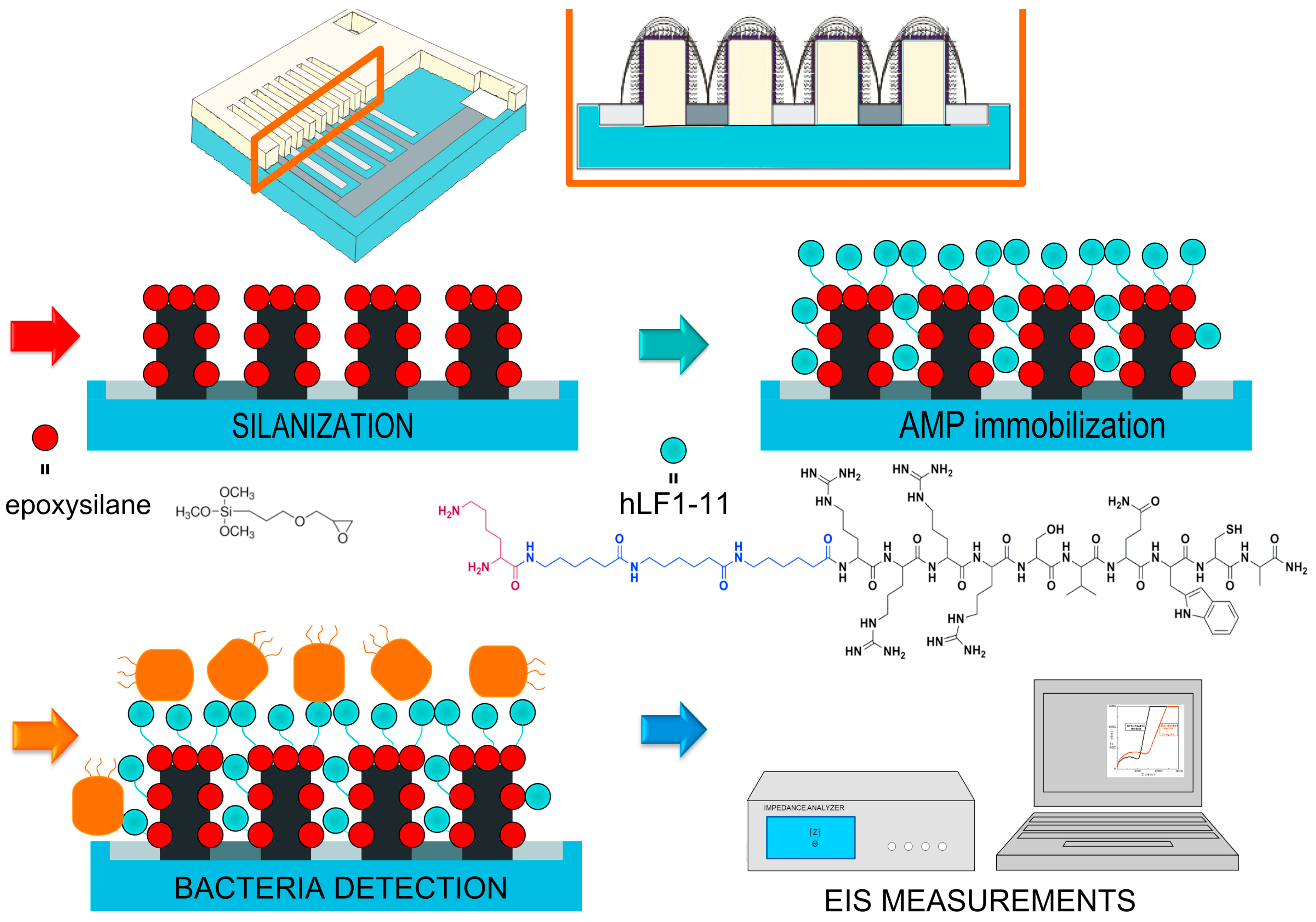 Molecules 23 01683 g006