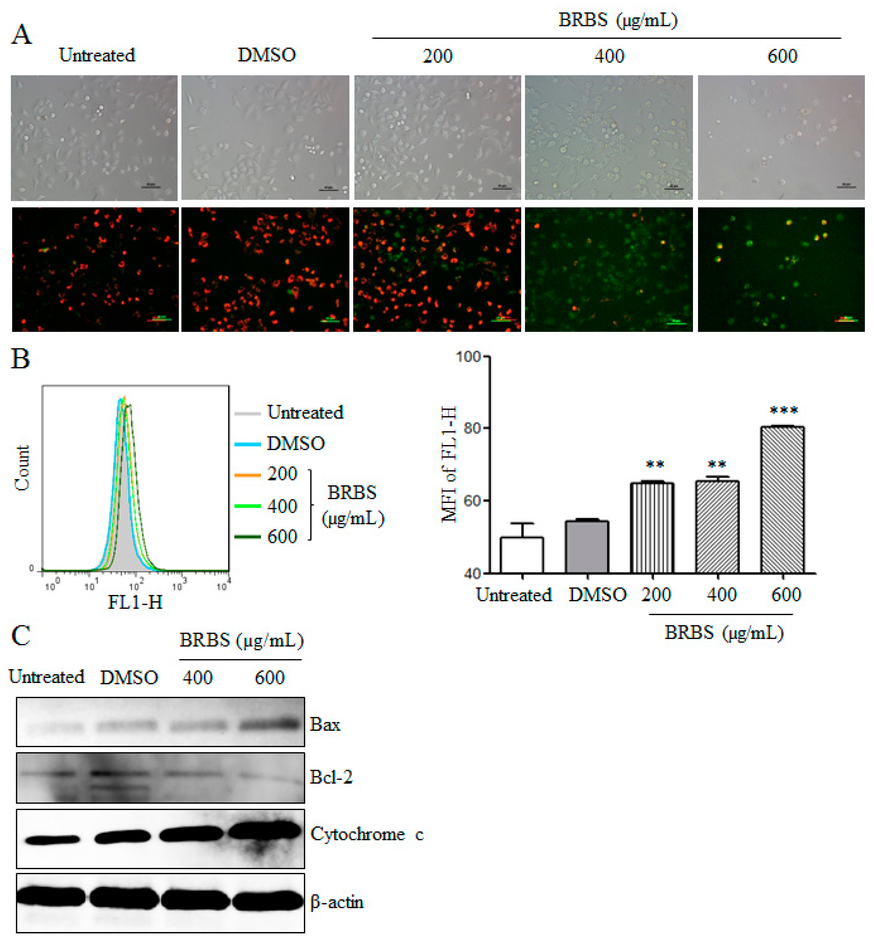 Molecules 23 01687 g004