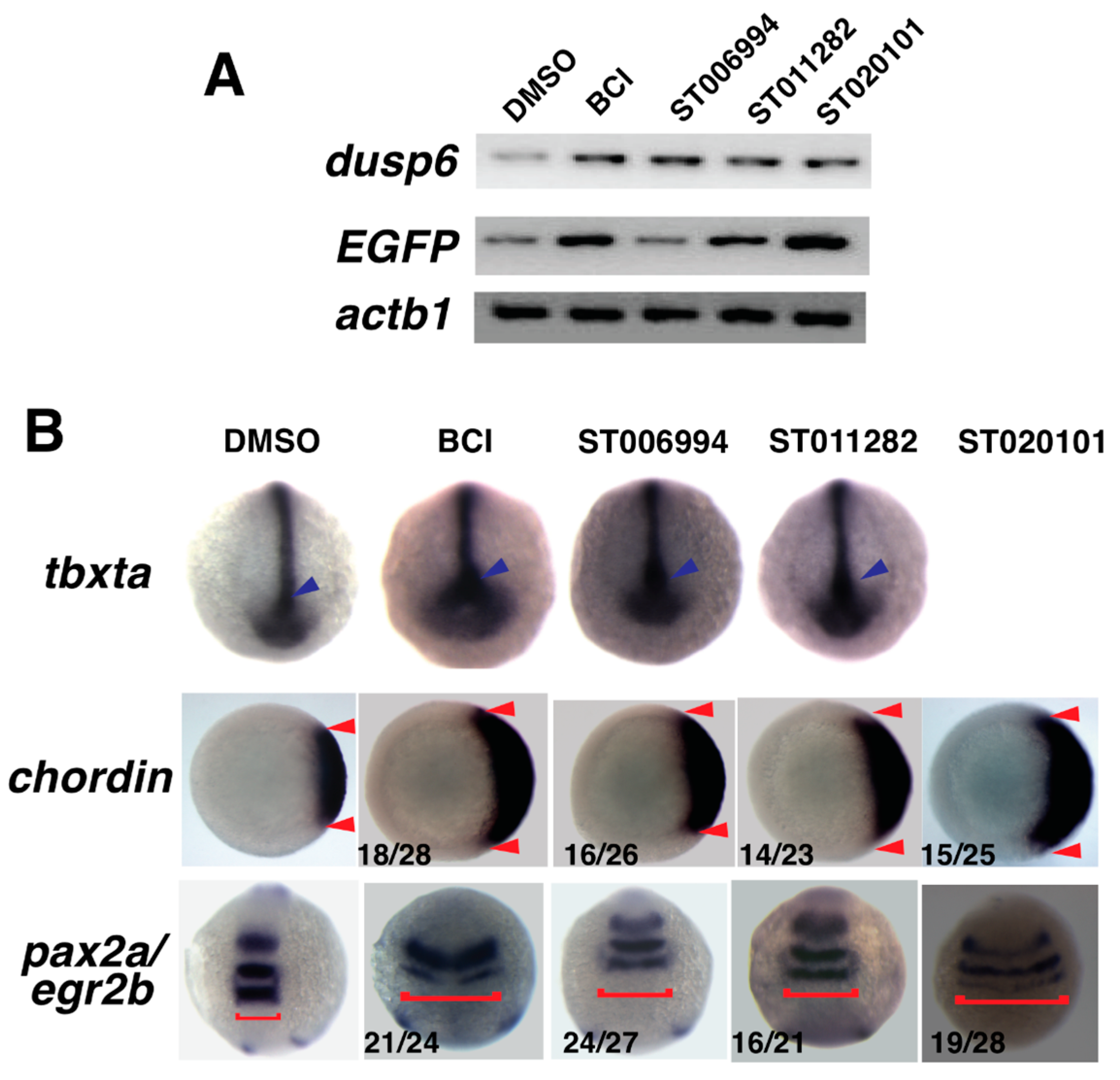 Molecules 23 01691 g003 Molecules 23 01691 g003