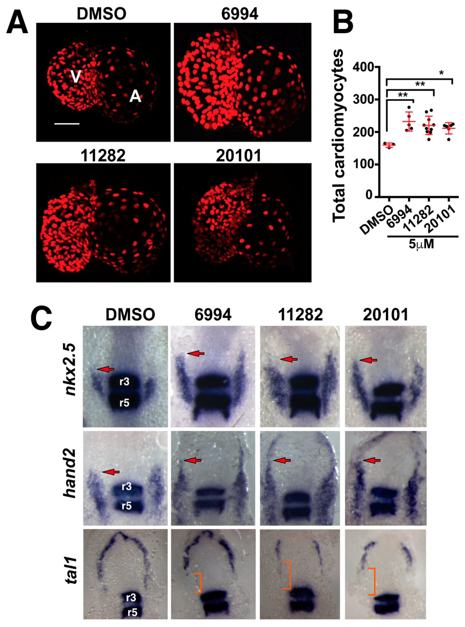 Molecules 23 01691 g004 Molecules 23 01691 g004