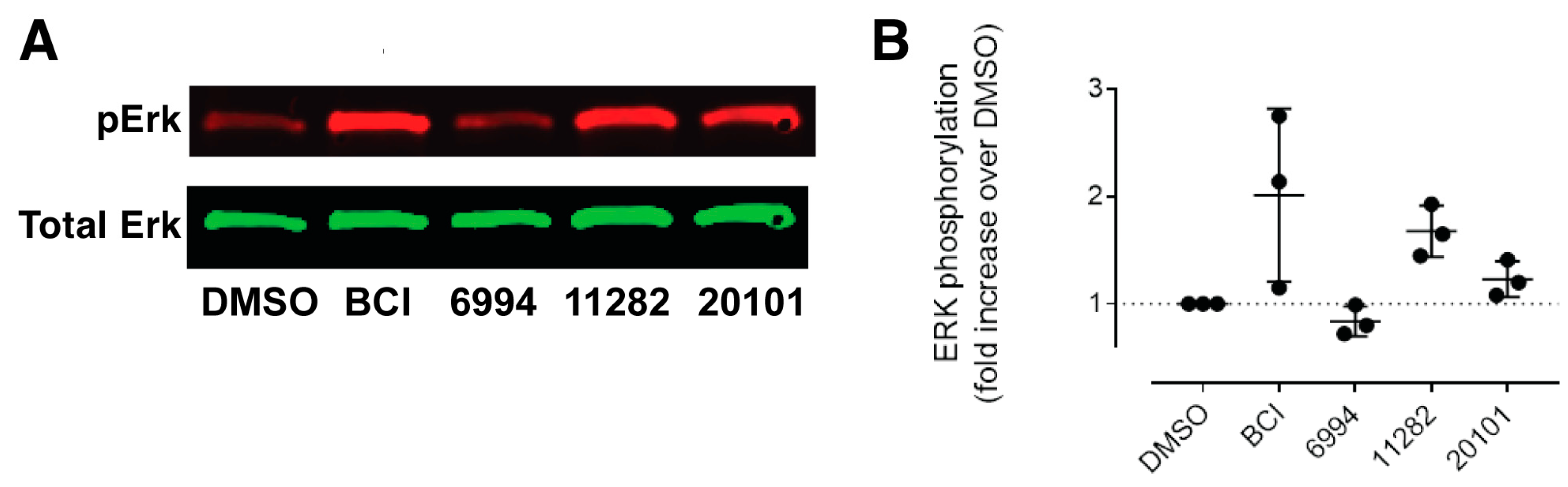 Molecules 23 01691 g005 Molecules 23 01691 g005