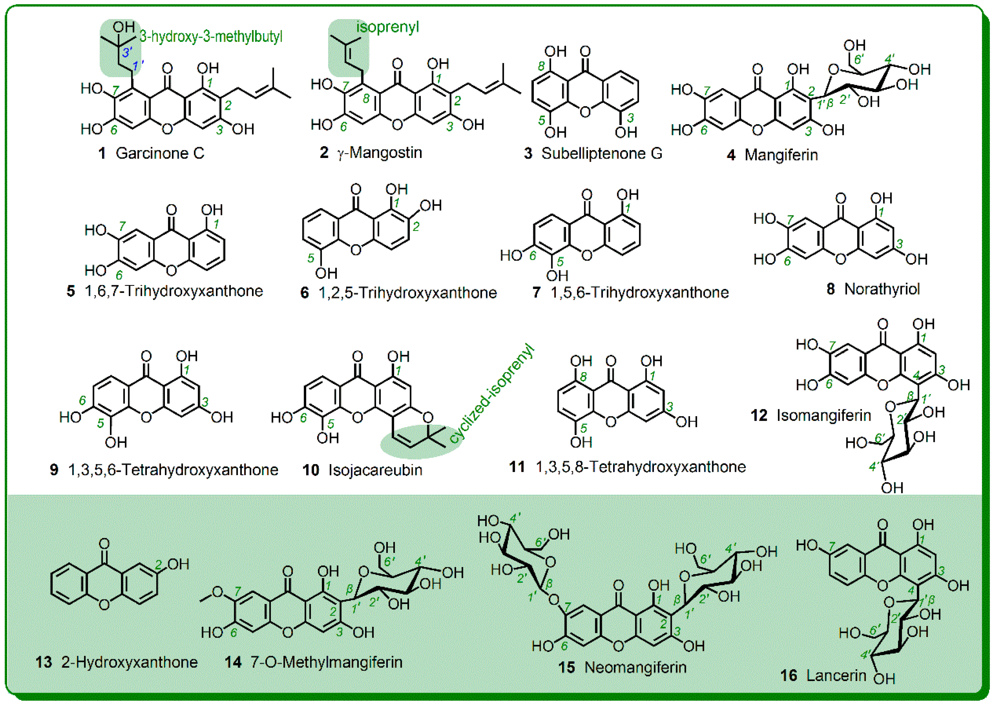 Molecules 23 01692 g003
