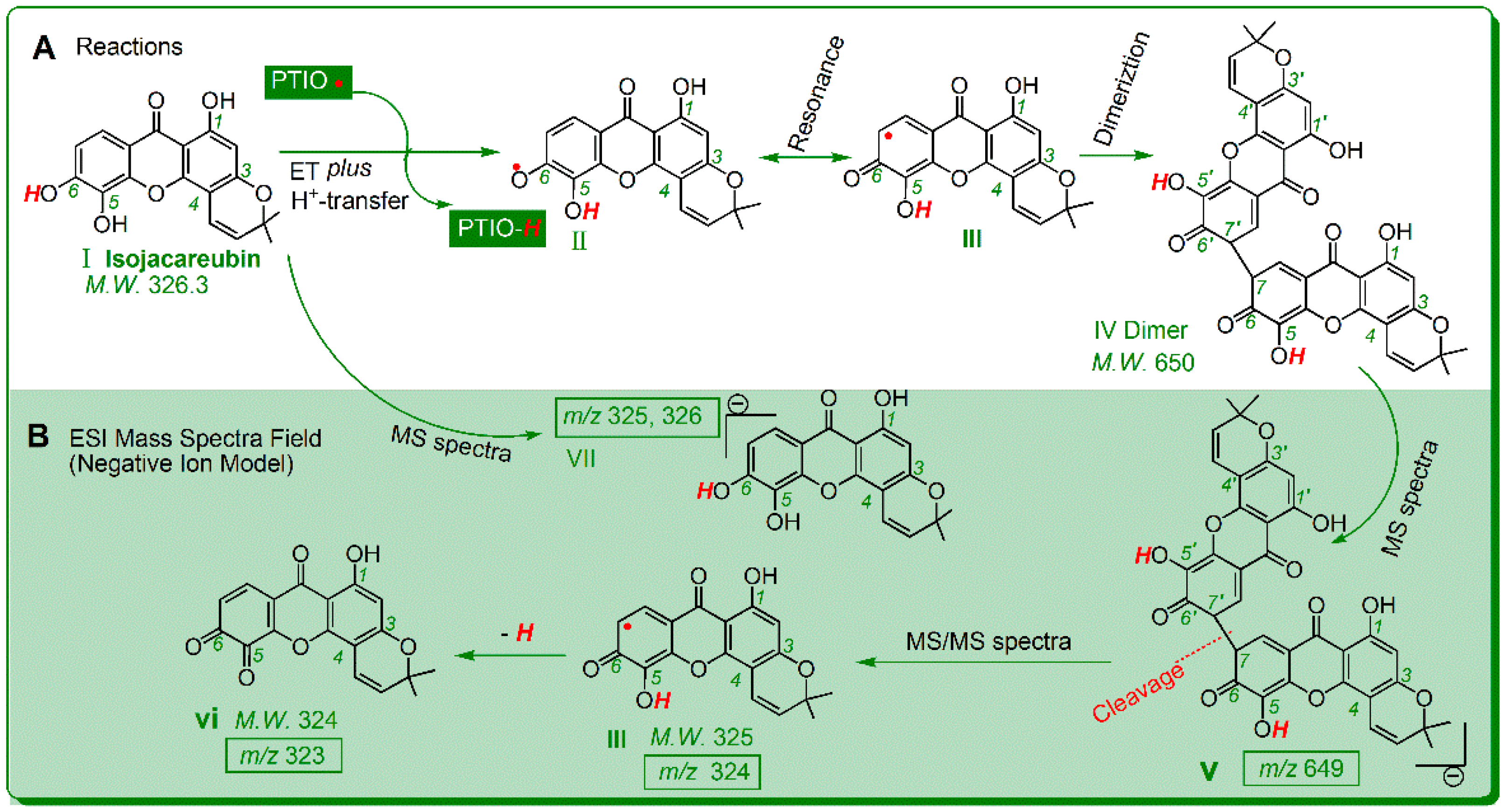 Molecules 23 01692 g004
