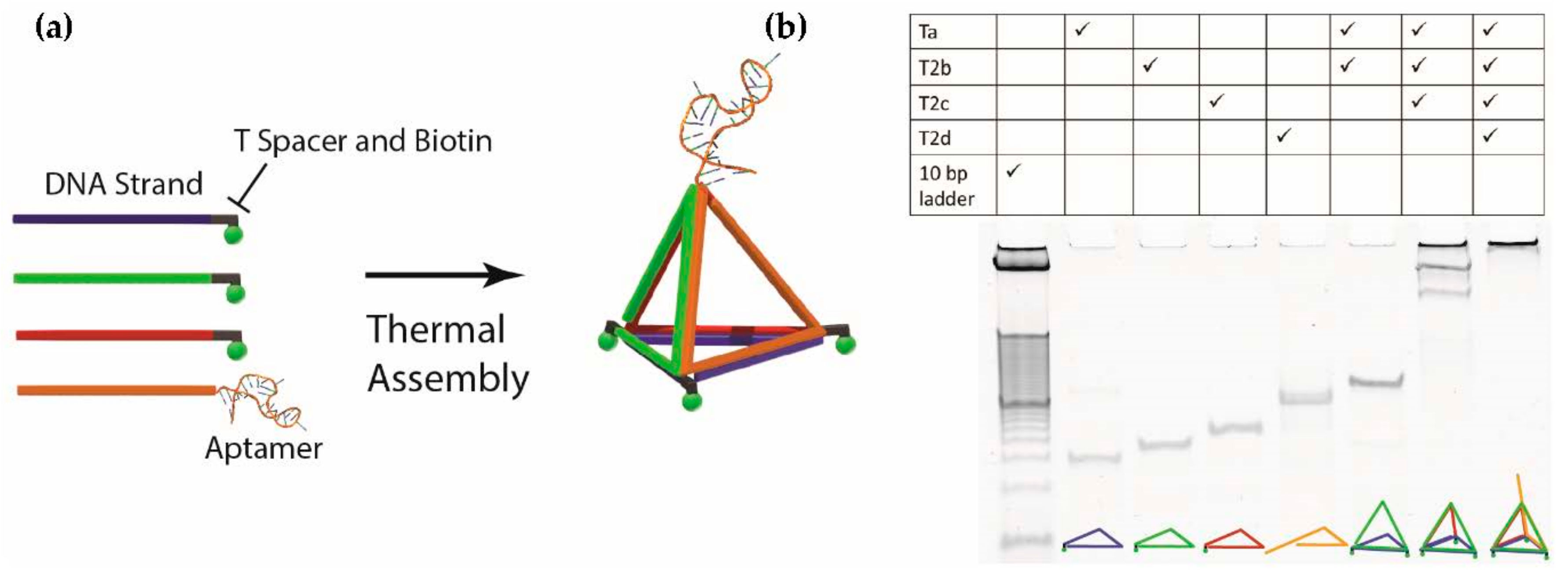 Molecules 23 01695 g002 Molecules 23 01695 g002