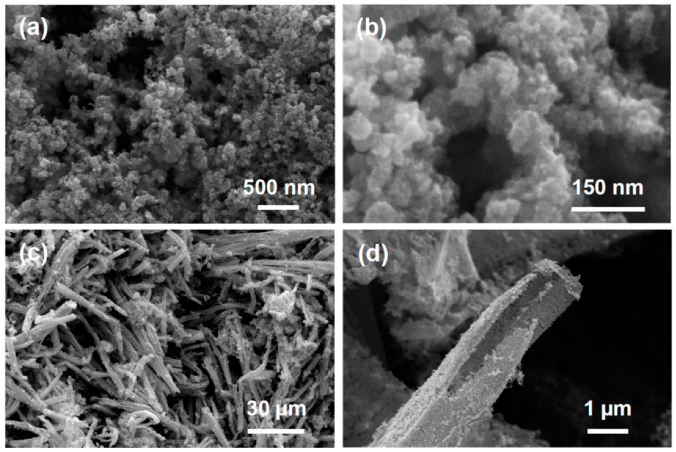 Molecules 23 01701 g003