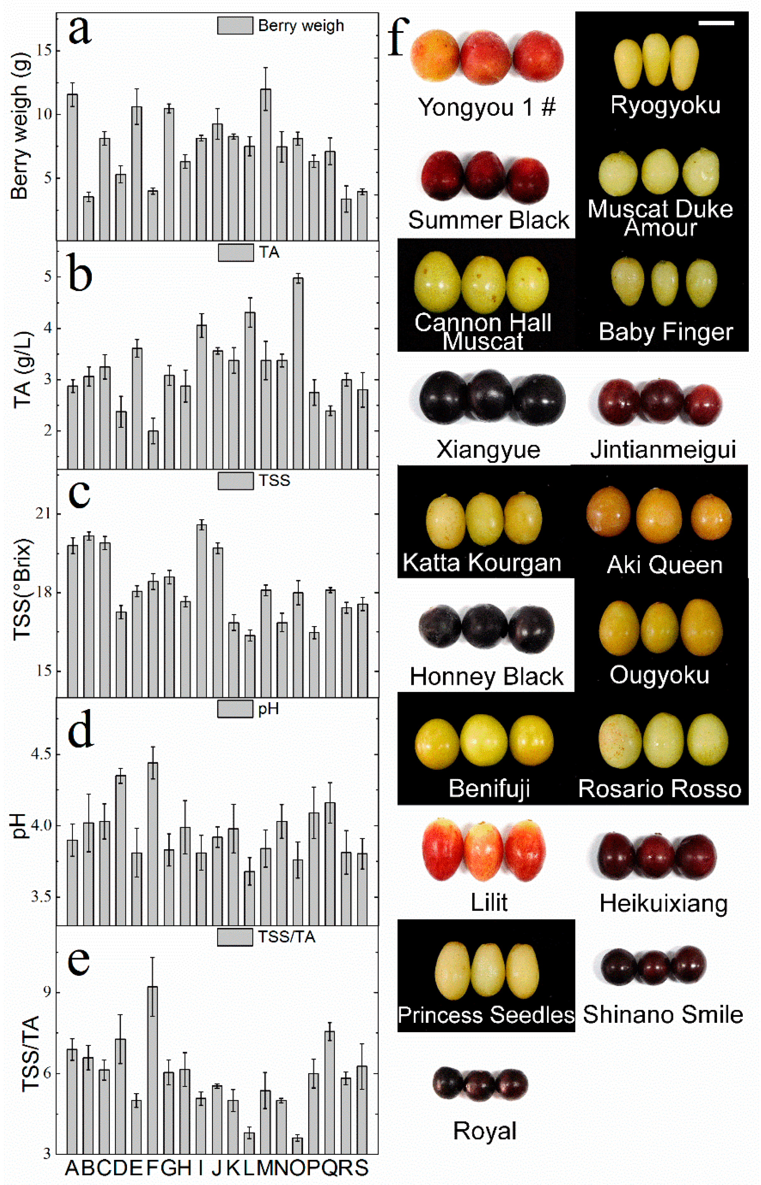 Molecules 23 01703 g001
