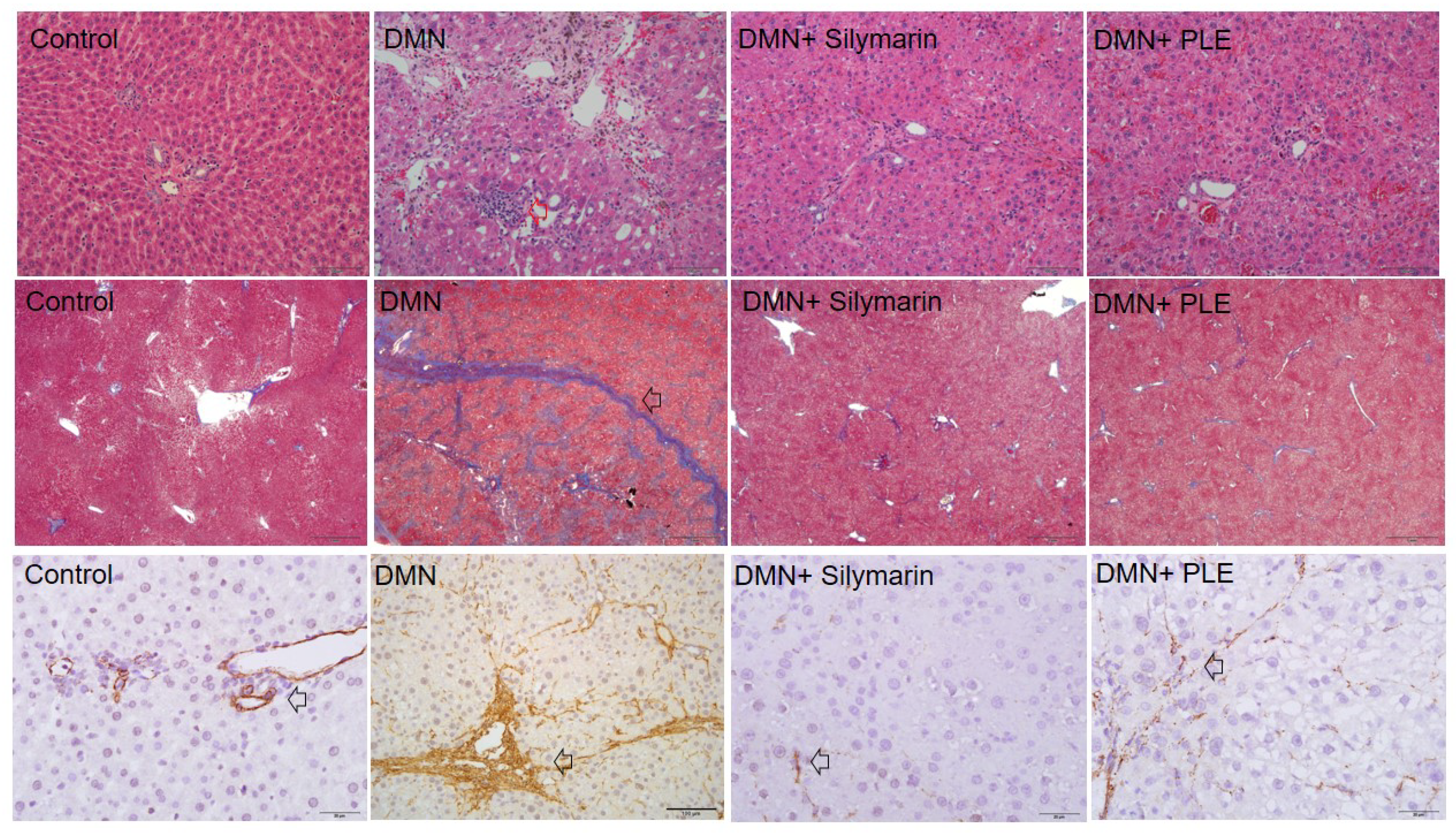 Molecules 23 01705 g001