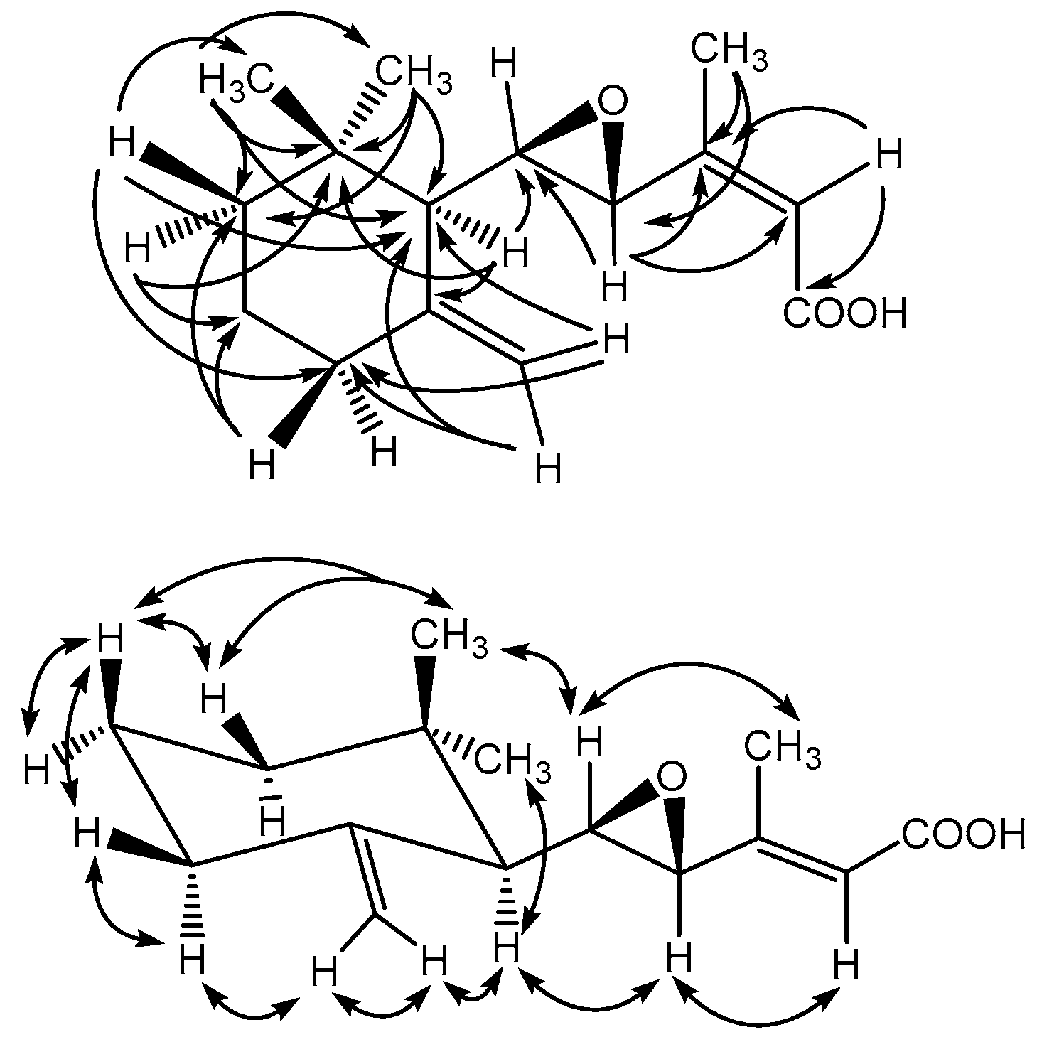 Molecules 23 01705 g003