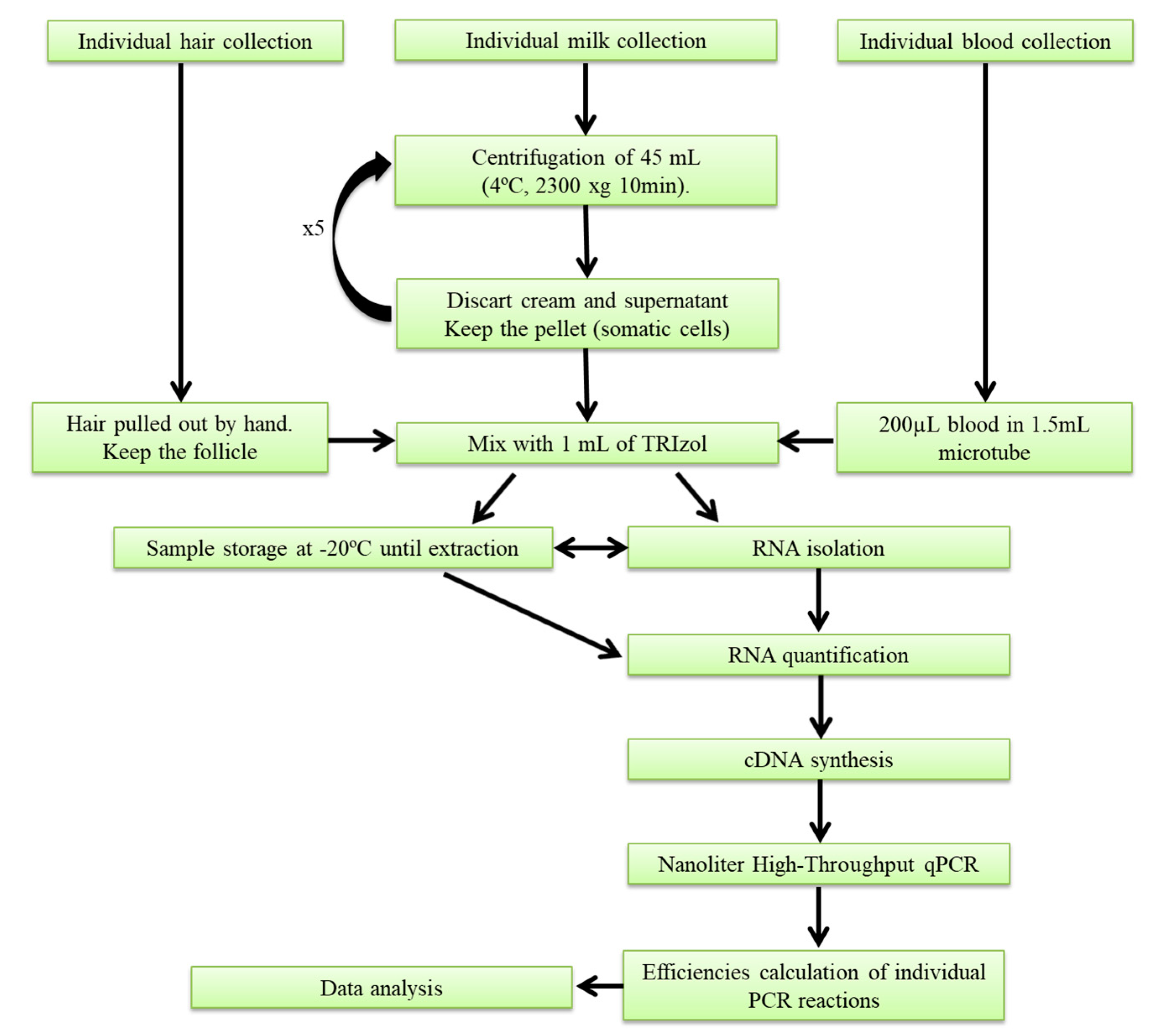 Molecules 23 01708 g005