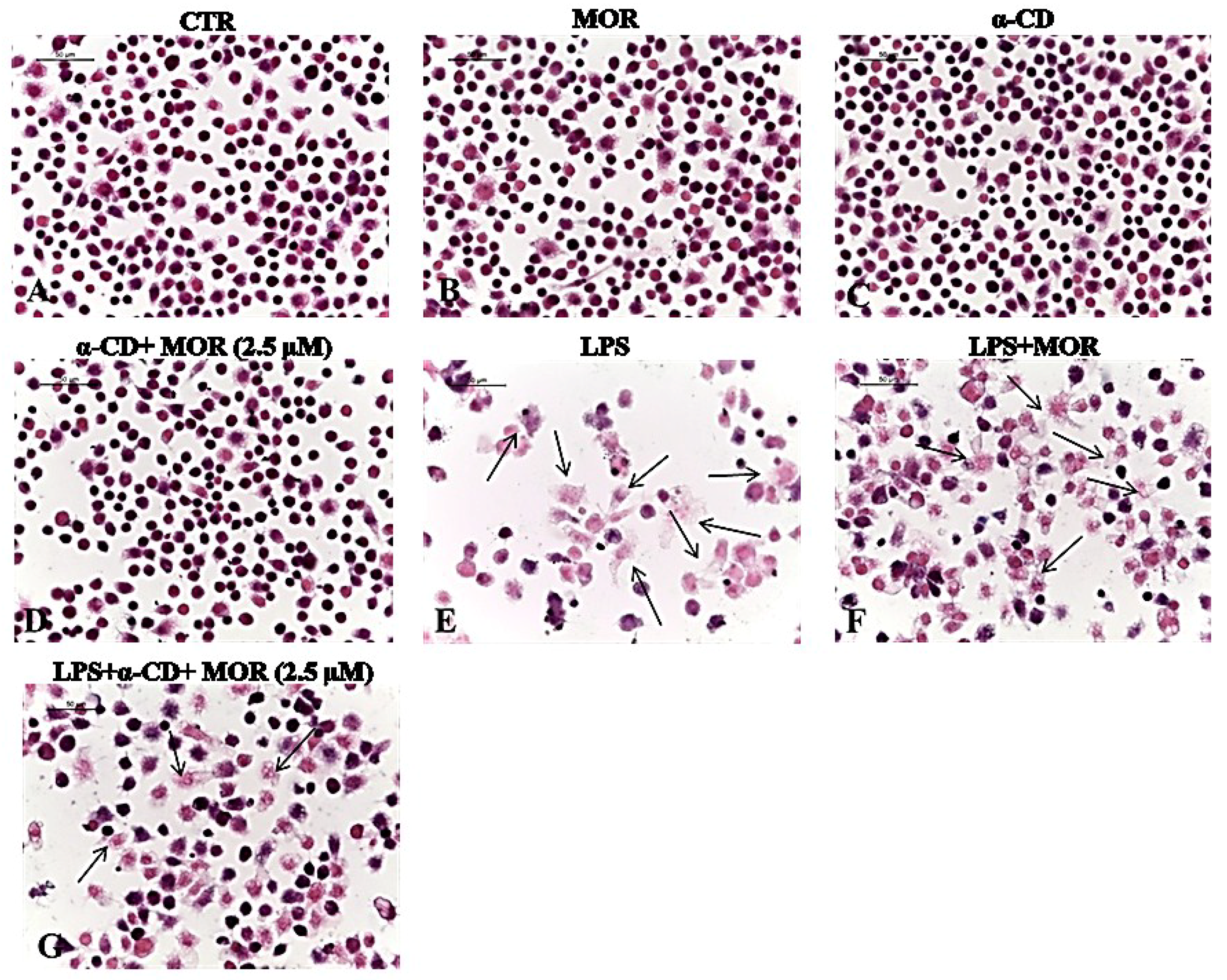 Molecules 23 01714 g002