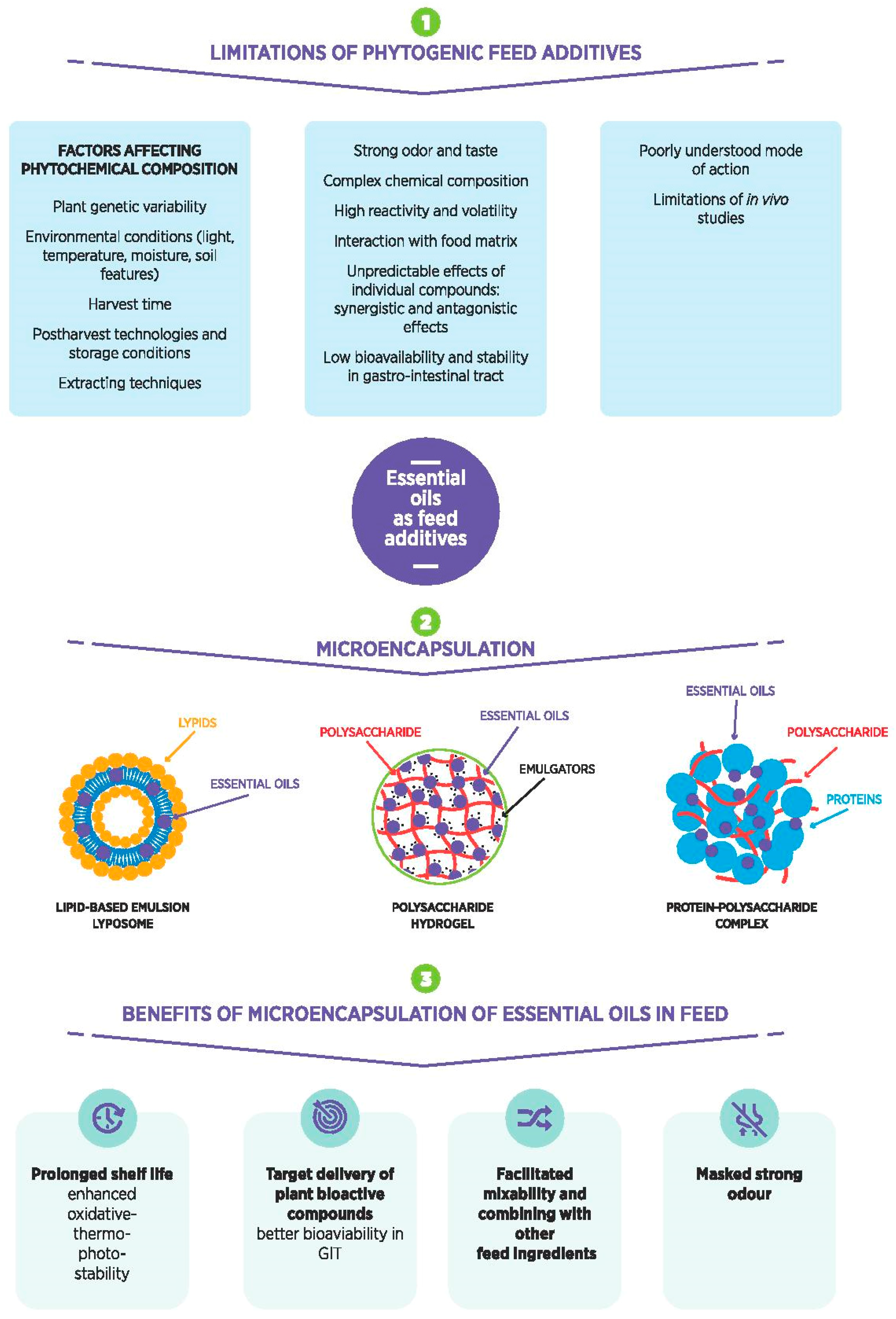 Molecules 23 01717 g001