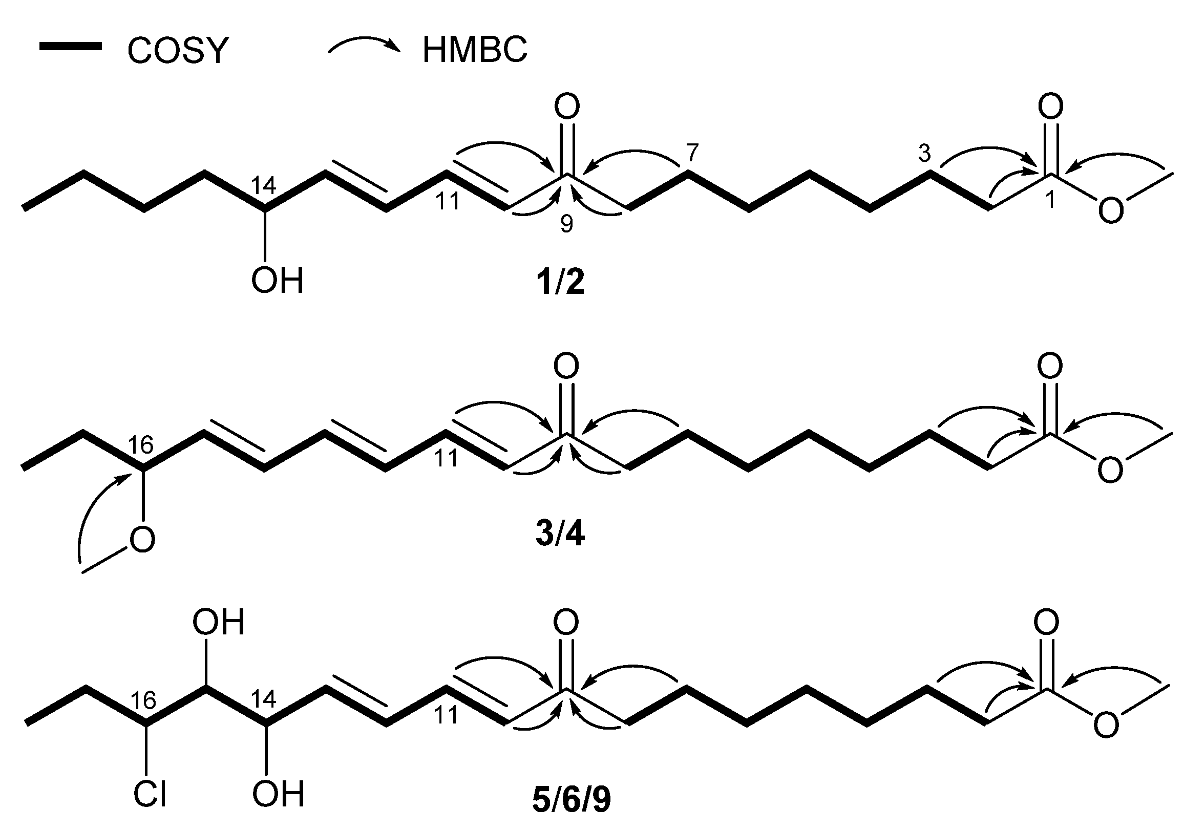 Molecules 23 01723 g002