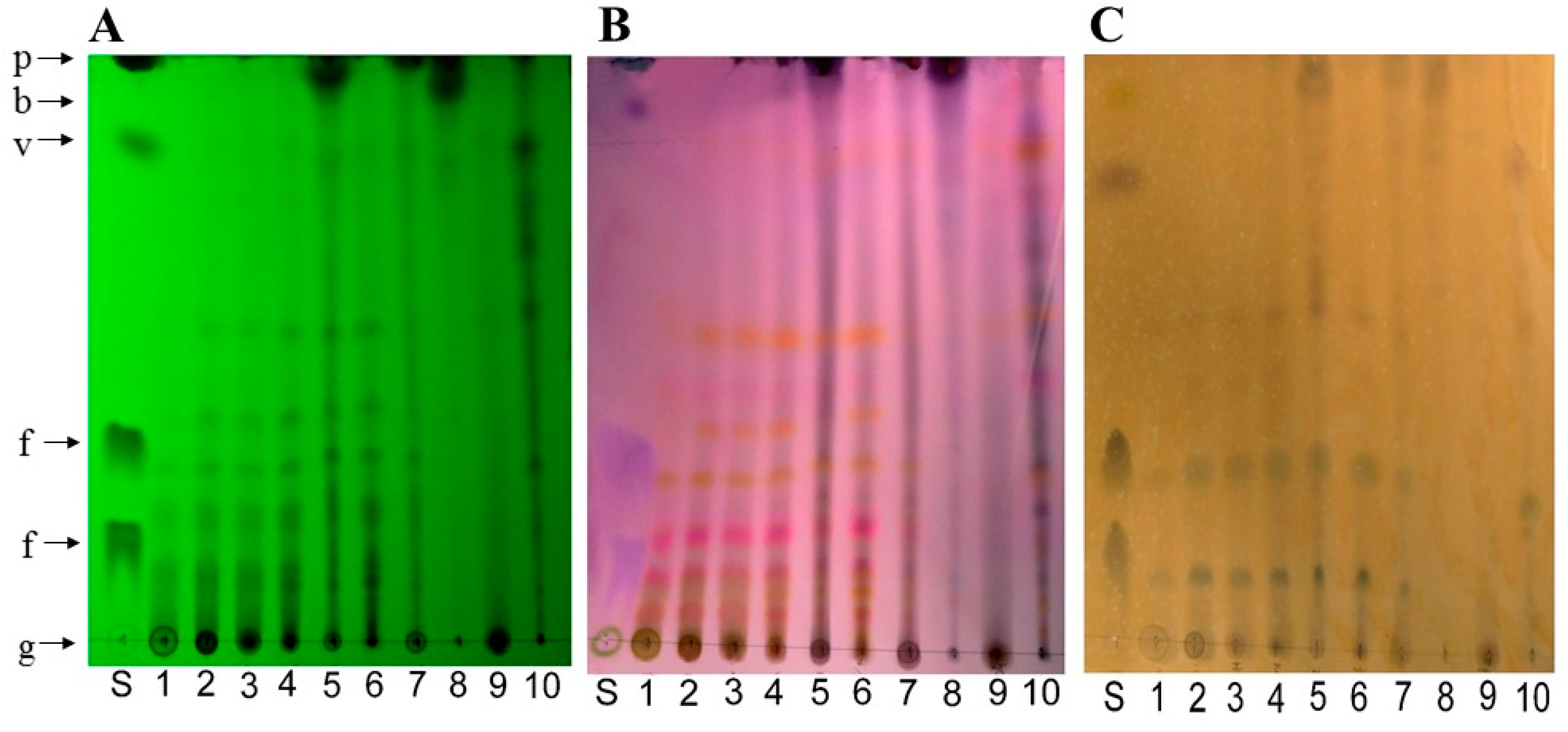 Molecules 23 01739 g002