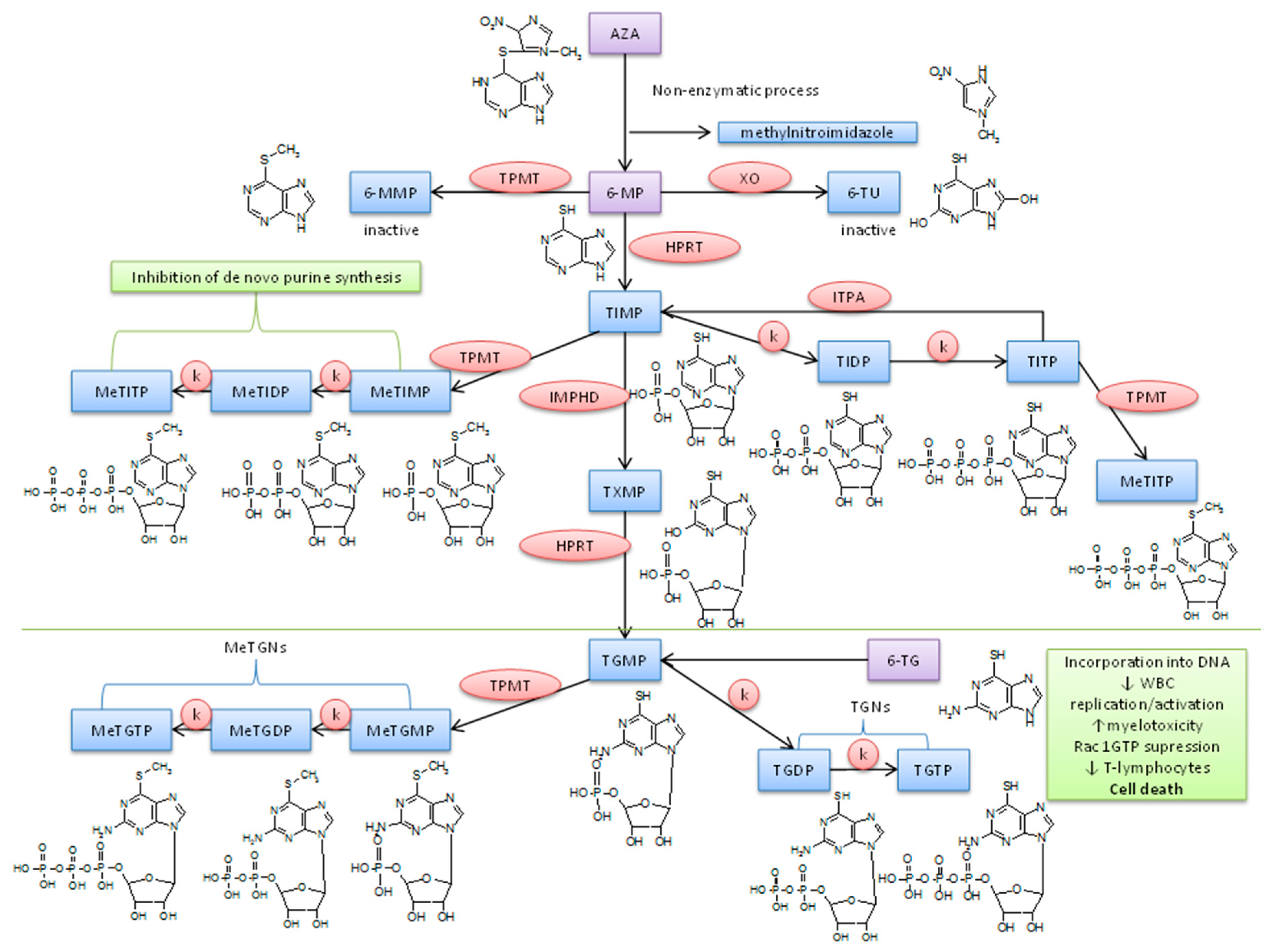 Molecules 23 01744 g001 Molecules 23 01744 g001