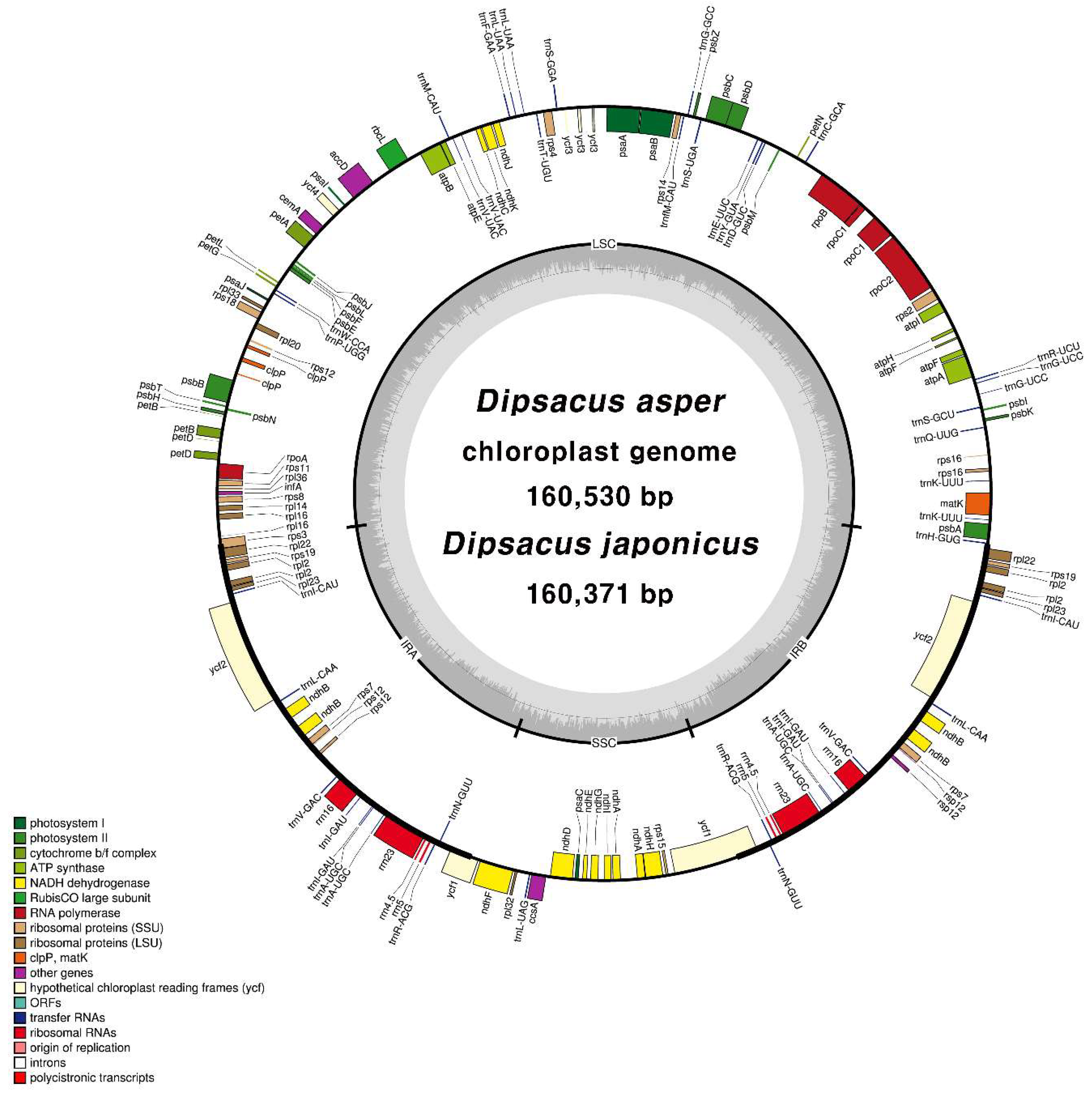 Molecules 23 01748 g001